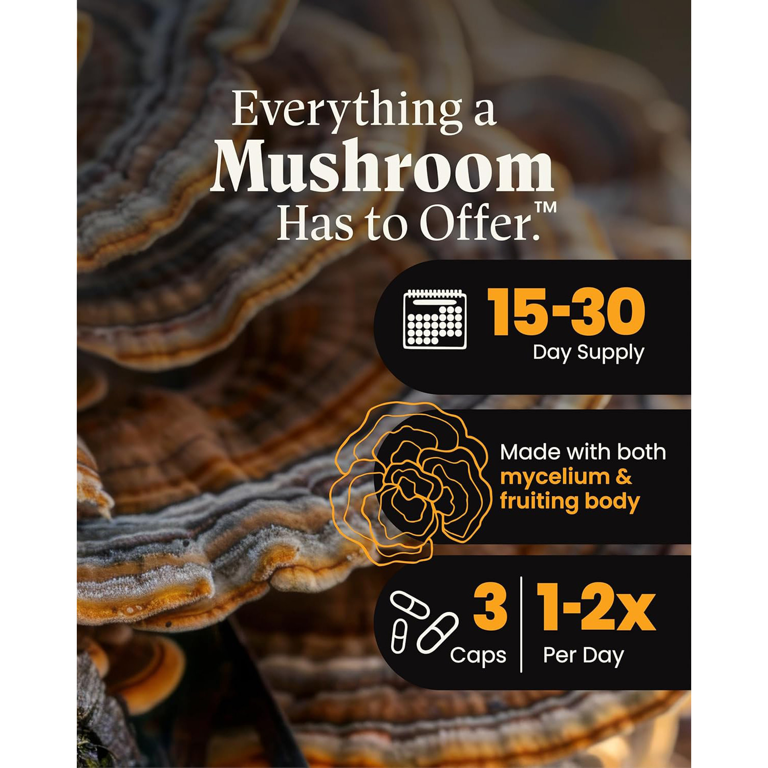 Herb Pharm,Mushroom Wellness Organic Turkey Tail Blend with Reishi,90Veg Caps