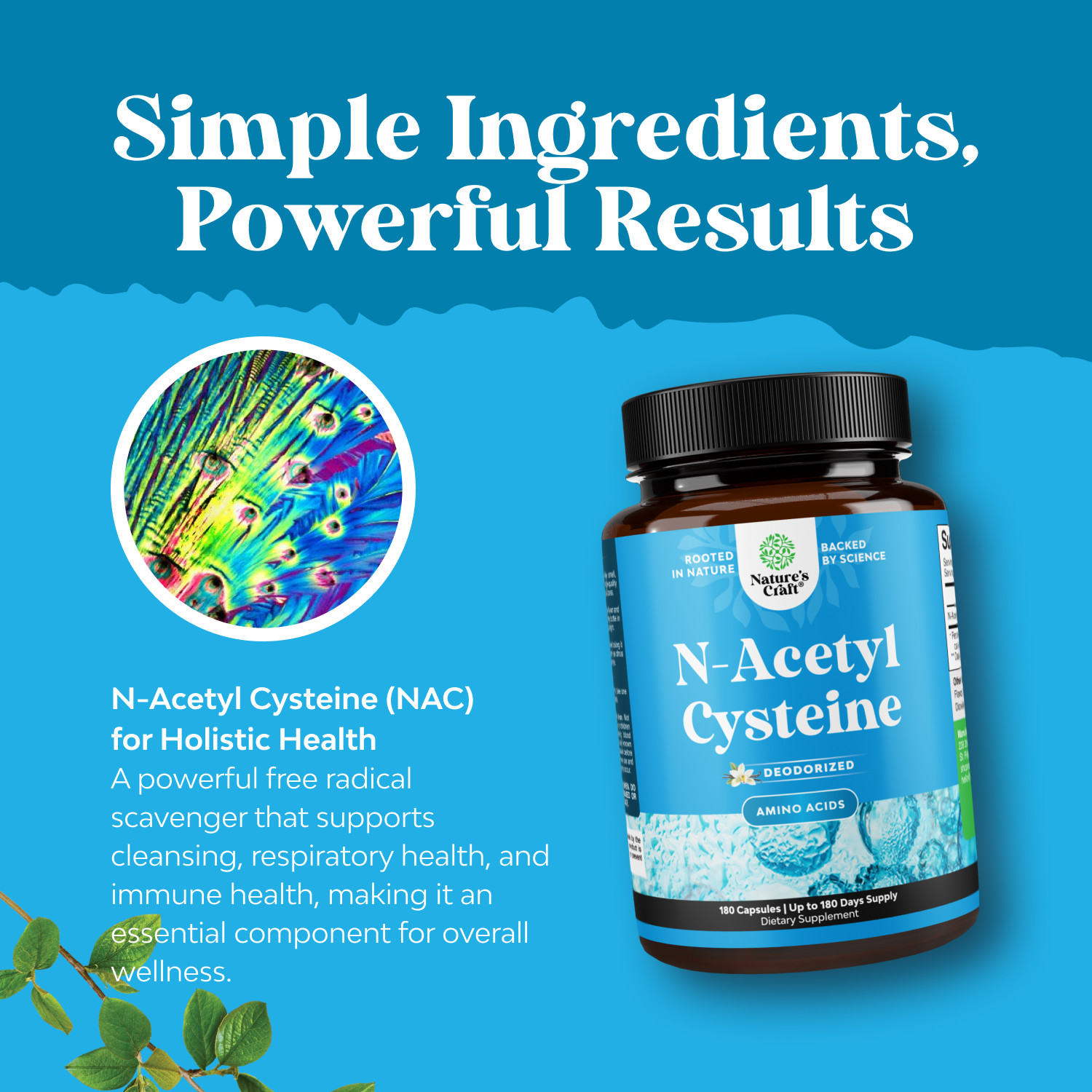 NAC Supplement N-Acetyl Cysteine 600mg – Potent Vegan High Absorption 180ct