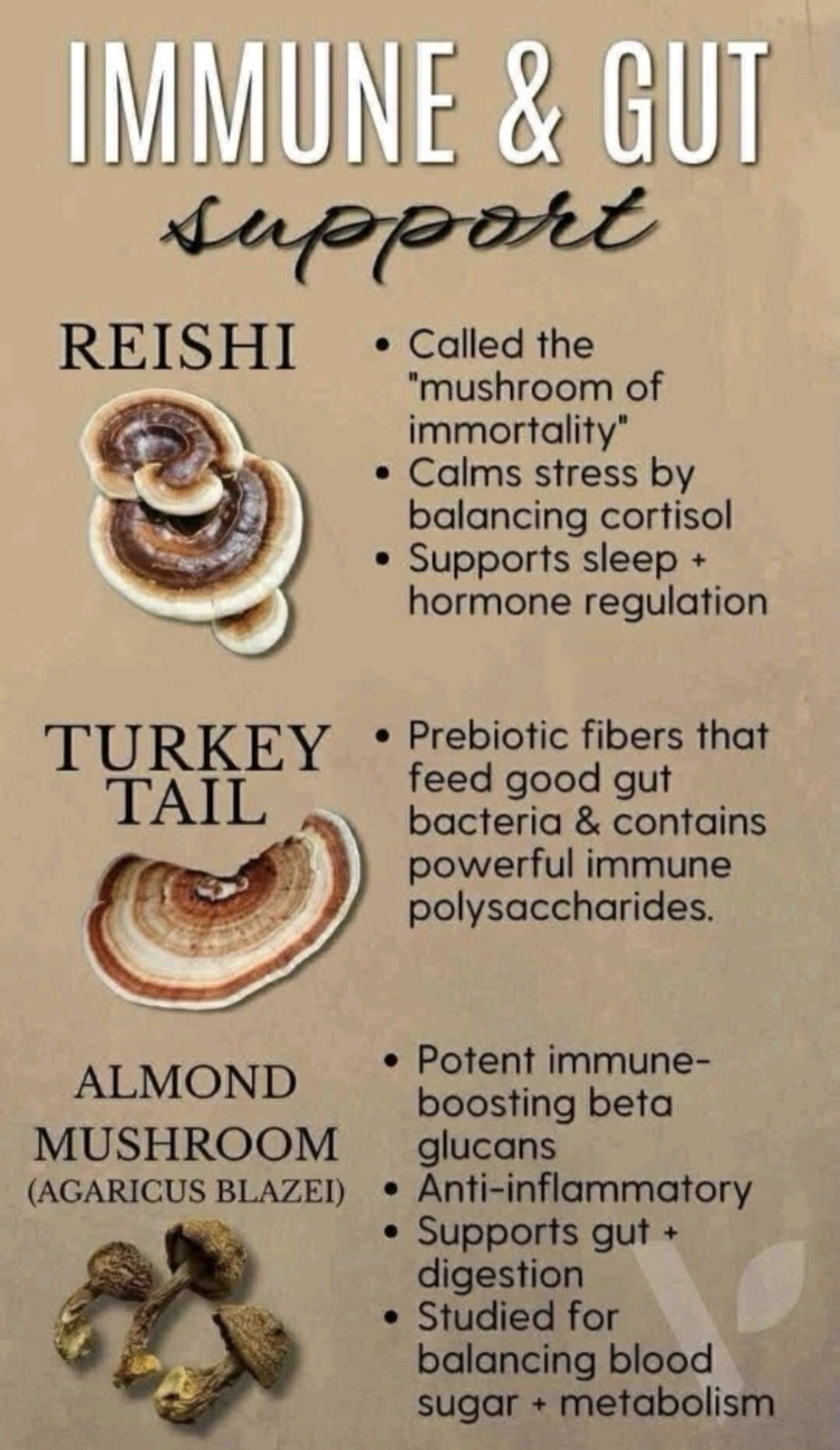 Vital health LATTEKAFFE Premium Arabica Coffee Combines Functional Mushrooms