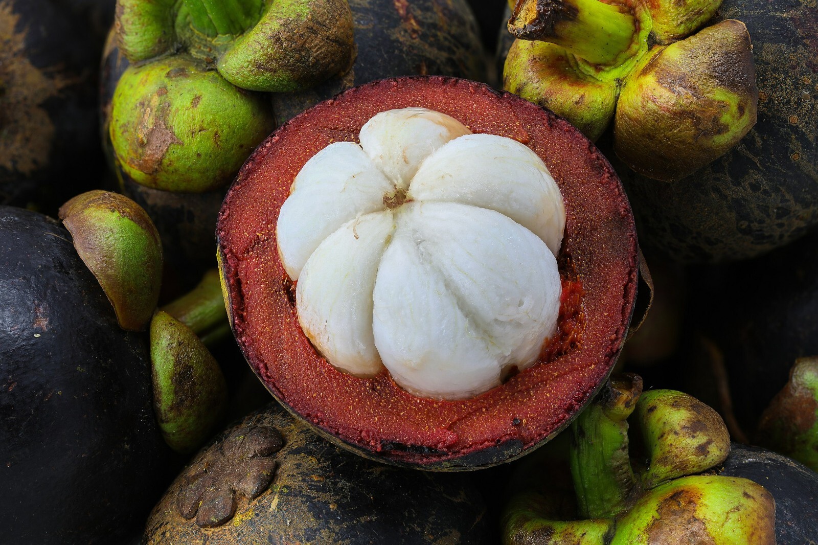 Immune Fortitude – MANGOSTEEN COMPLEX – Immunity Boost – 3B 180 Caps