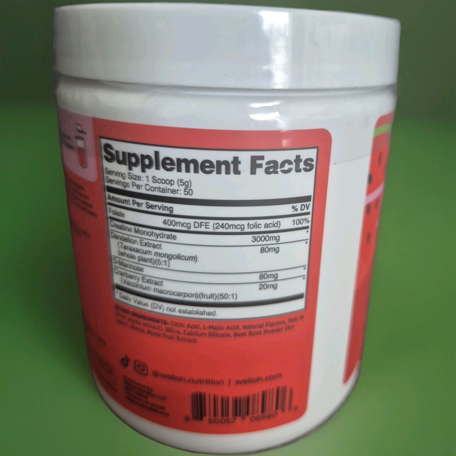 Wellah Creatine Monohydrate Powder Watermelon Slush with Folate & Cranberry, 3g