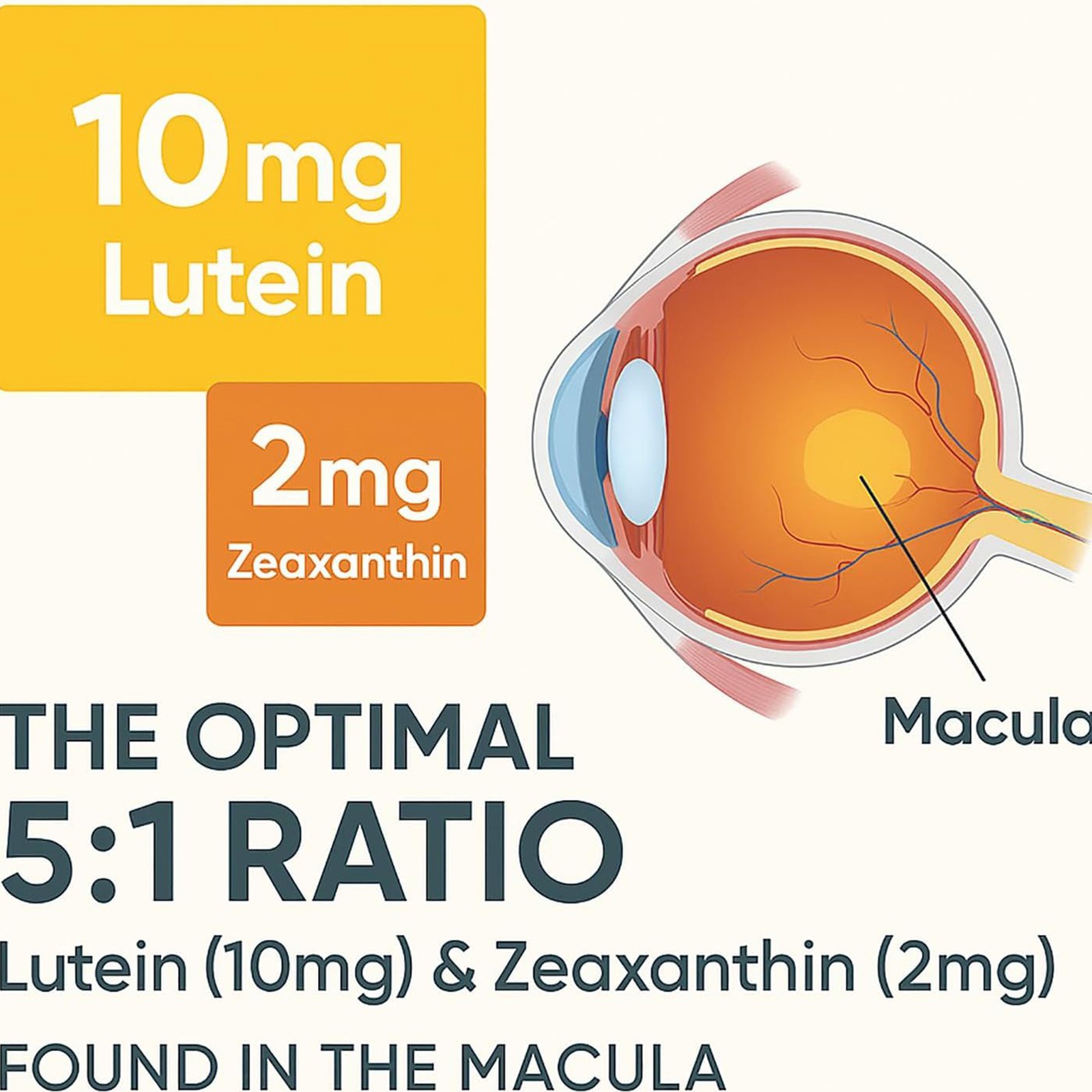 Evervision 14 In 1 Premium Eye Suitable Formula Capsules Advanced Formula 60 Ct