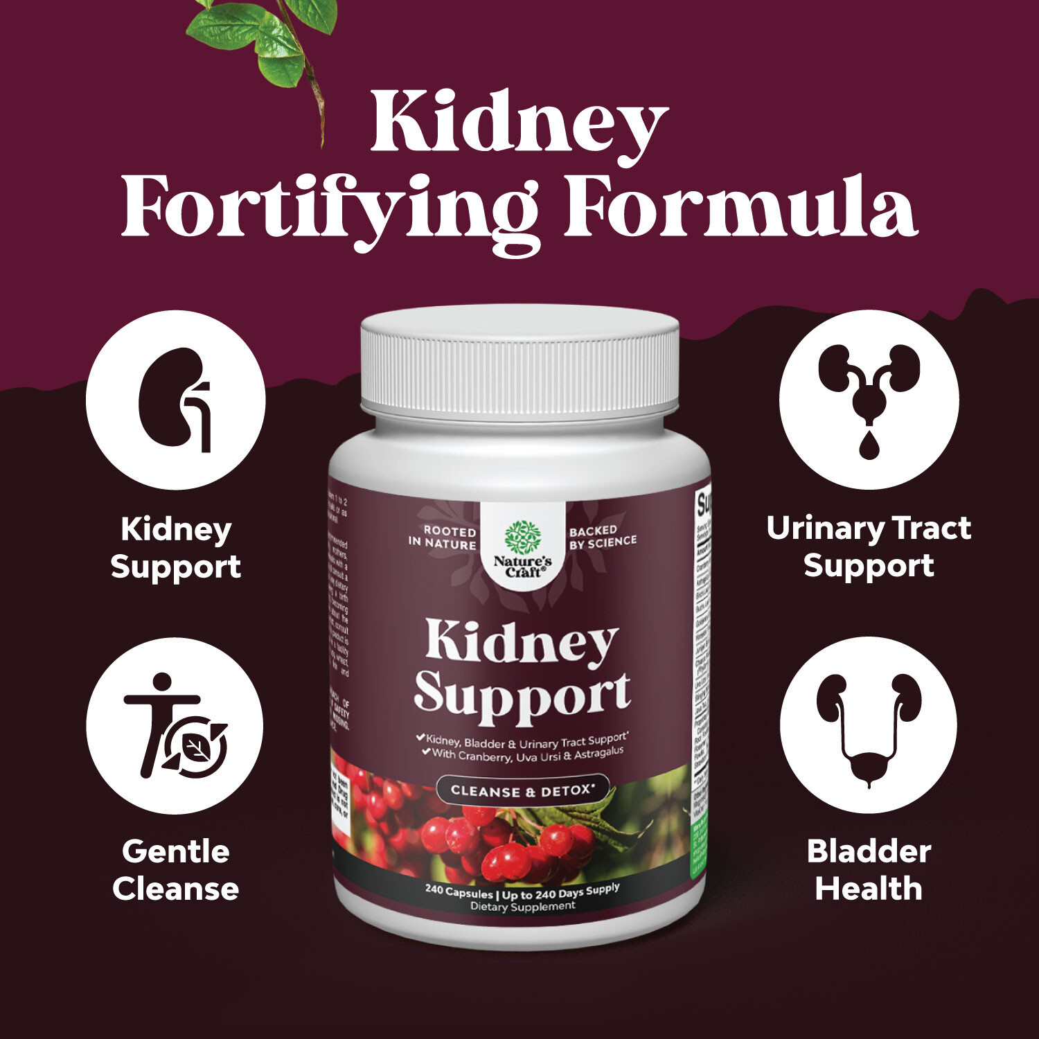 Kidney Support Cranberry Supplement for Women and Men 240ct
