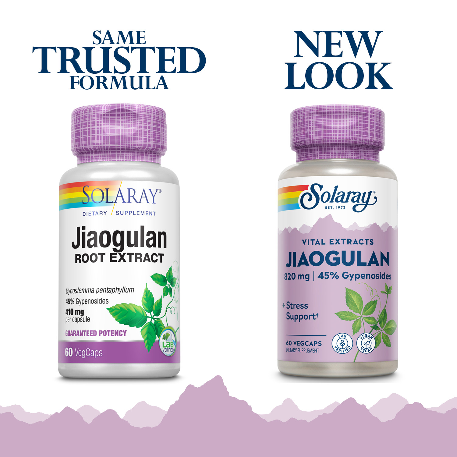 Solaray Guaranteed Potency Jiaogulan Root Extract, Veg Cap (Btl-Plastic) 410mg