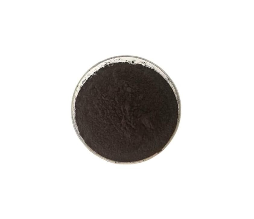 Mountain POLYRACHIS ANT/Polyrhachis vicina Roger Double Extract Powder, 100 Gram