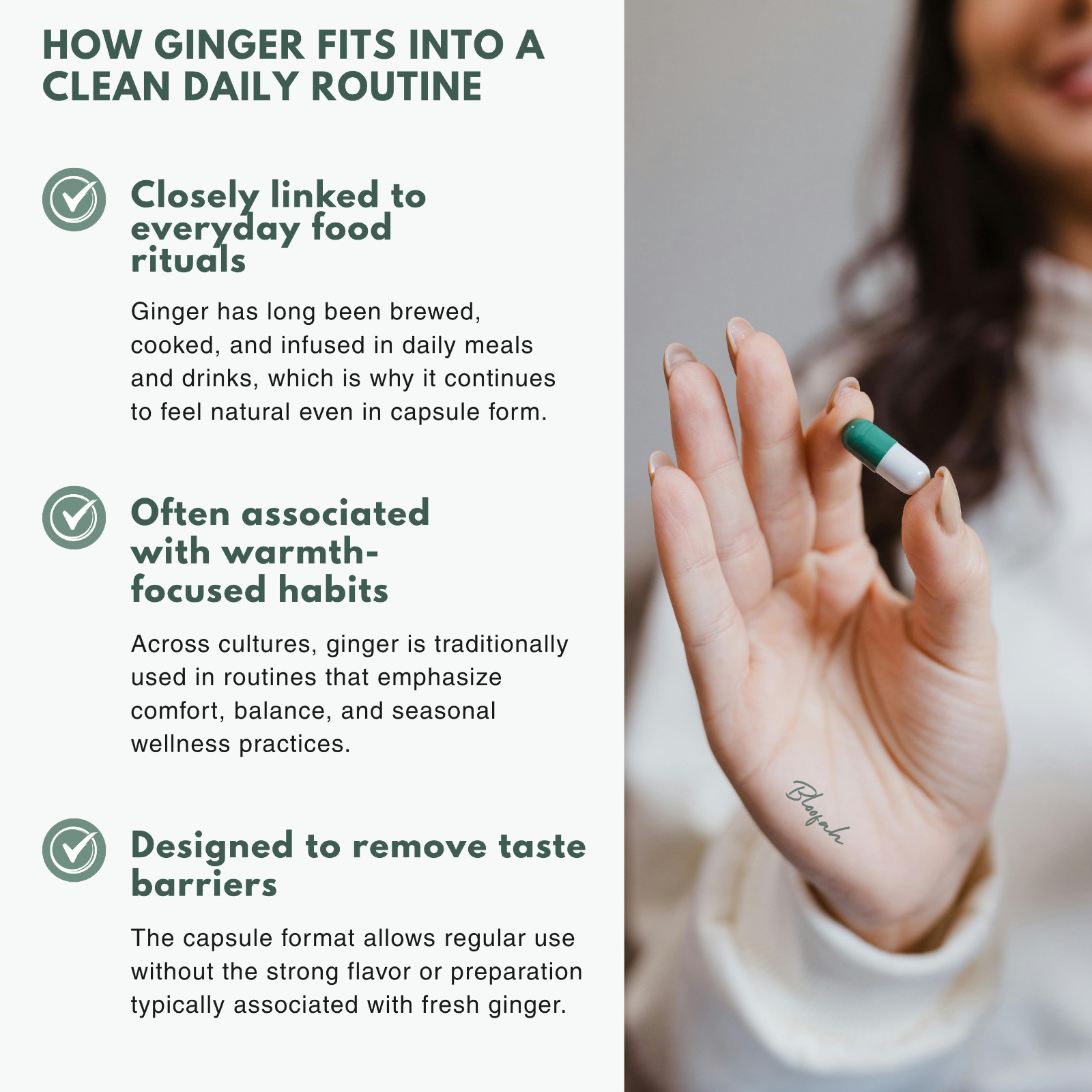 Bloofah GR Ginger Root Extract 10:1 500mg | 120 Capsules | Gingerols | Wellness
