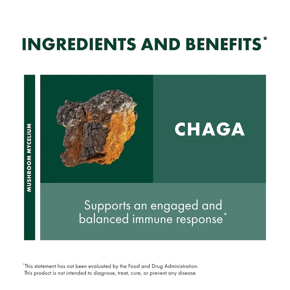 Host Defense Chaga Extract 2 Oz Organic Antioxidant Support Fungi Perfecti