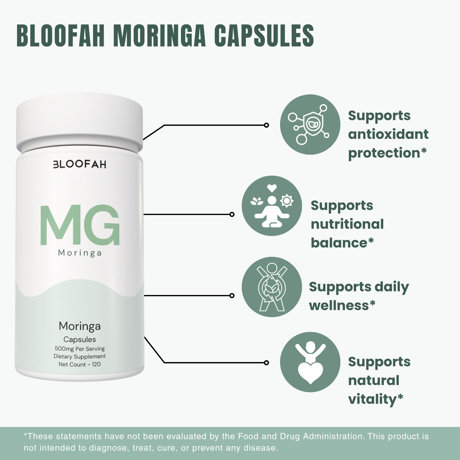 Bloofah MG Moringa Leaf Extract 10:1 500mg | 120 Capsules | Superfood | Iron