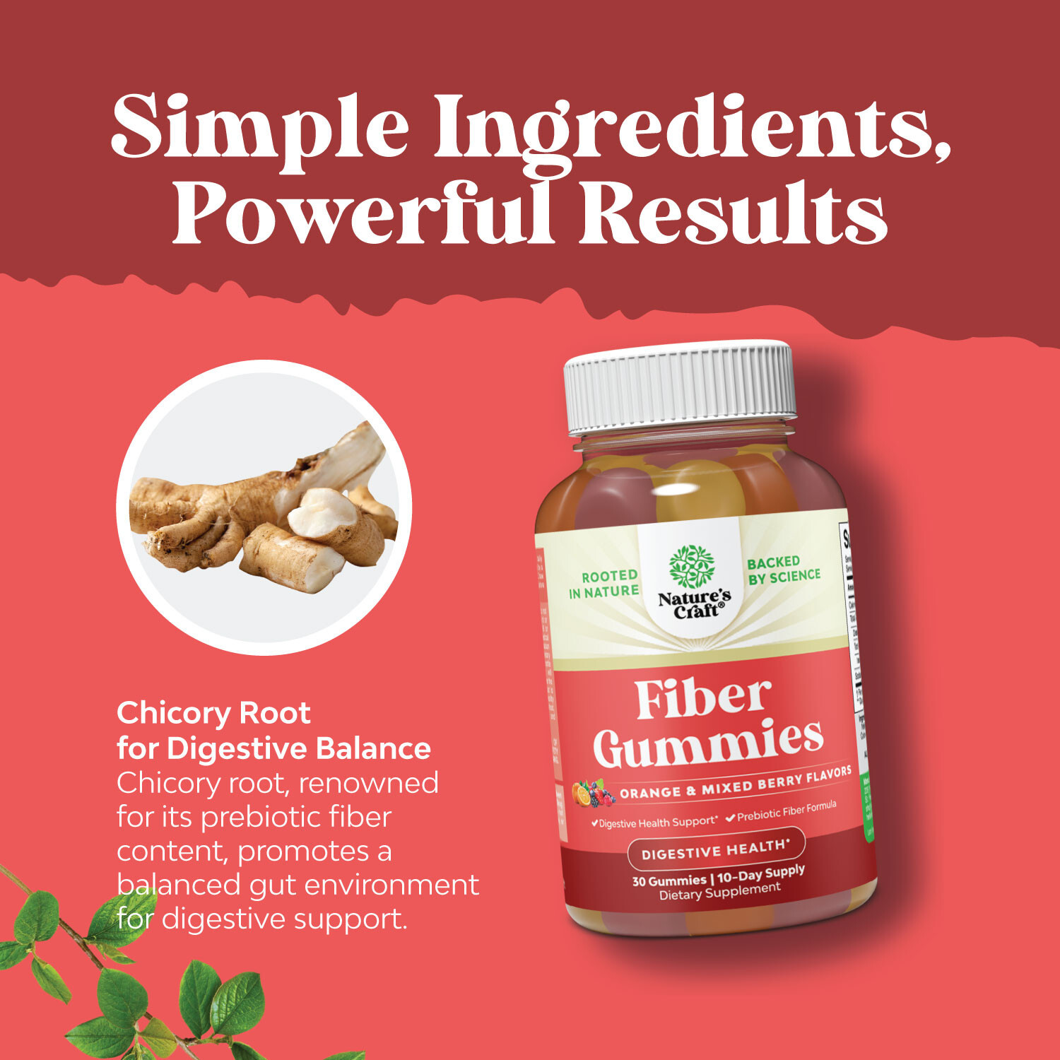 Tasty Prebiotic Fiber Gummies for Adults – High Fiber Supplement Gummies