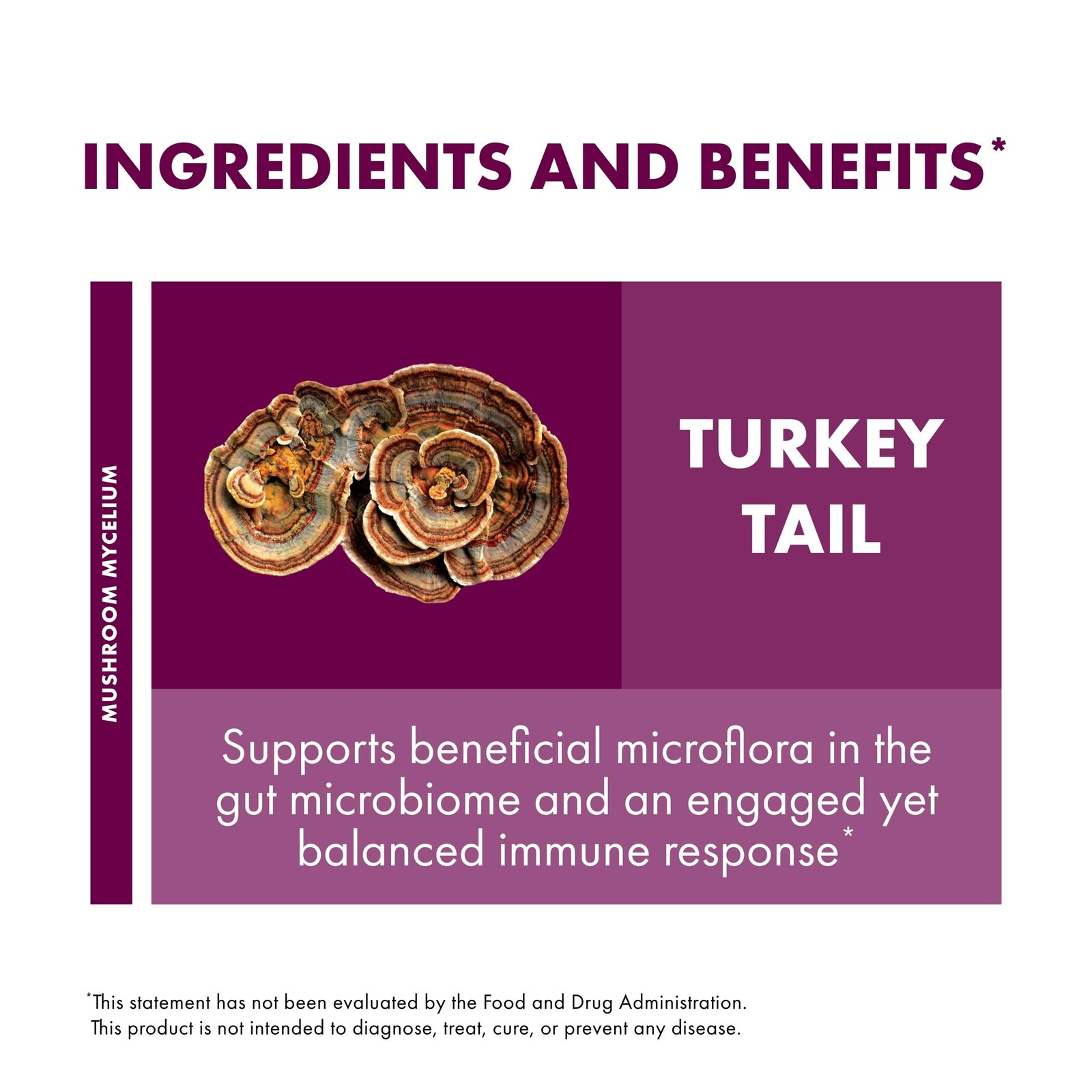 Host Defense Turkey Tail Capsules – Digestive Health & 30 Count (Pack of 1)