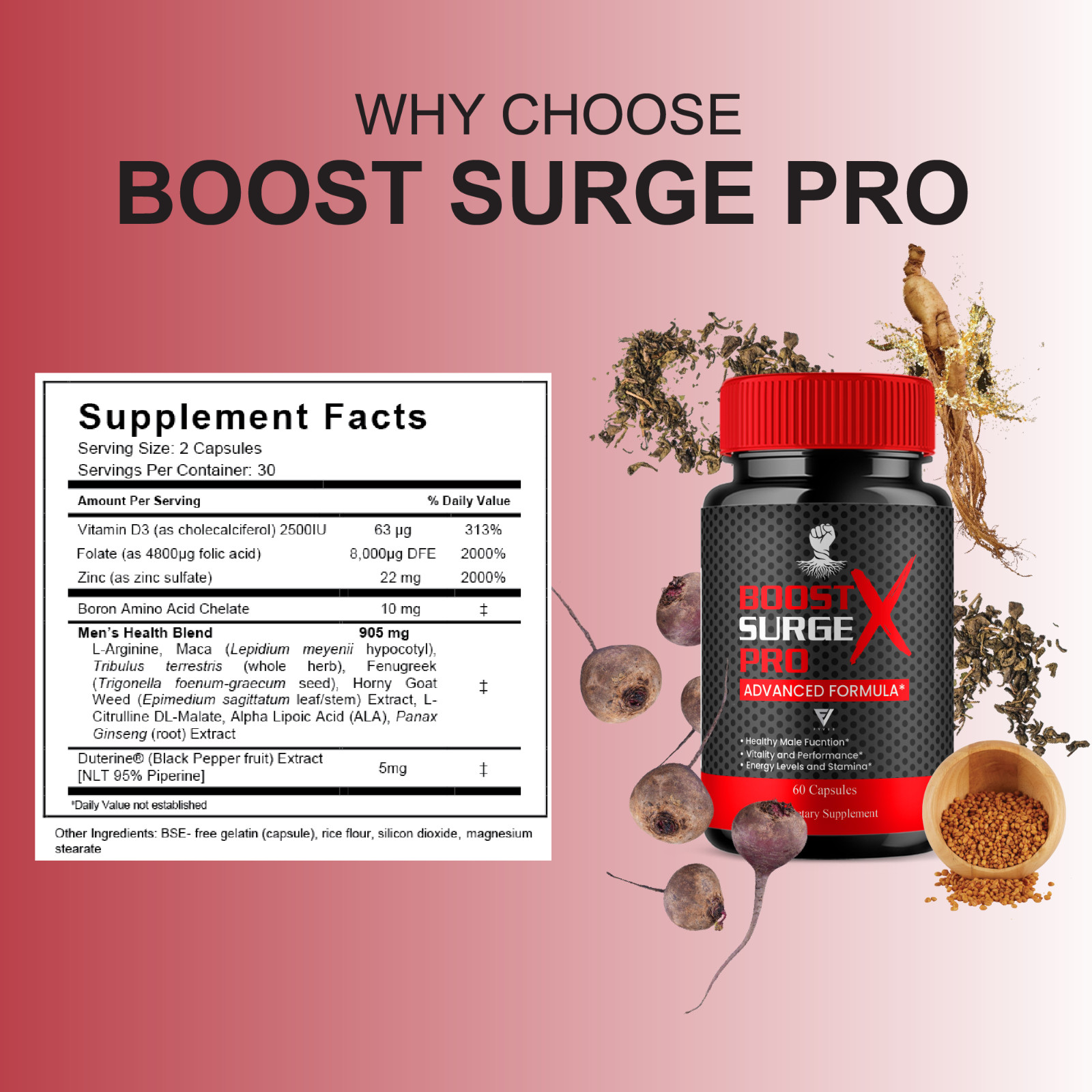 (2 Pack) Boost Surge Pro X Advanced Male Support, BoostSurgeProX (120 Capsules)