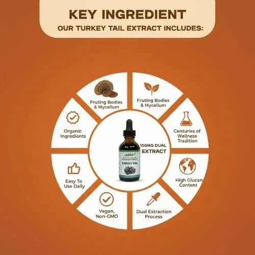 Turkey Tail (Trametes versicolor) Mushroom Extract Liquid Drops 1, 2 & 3 Packs
