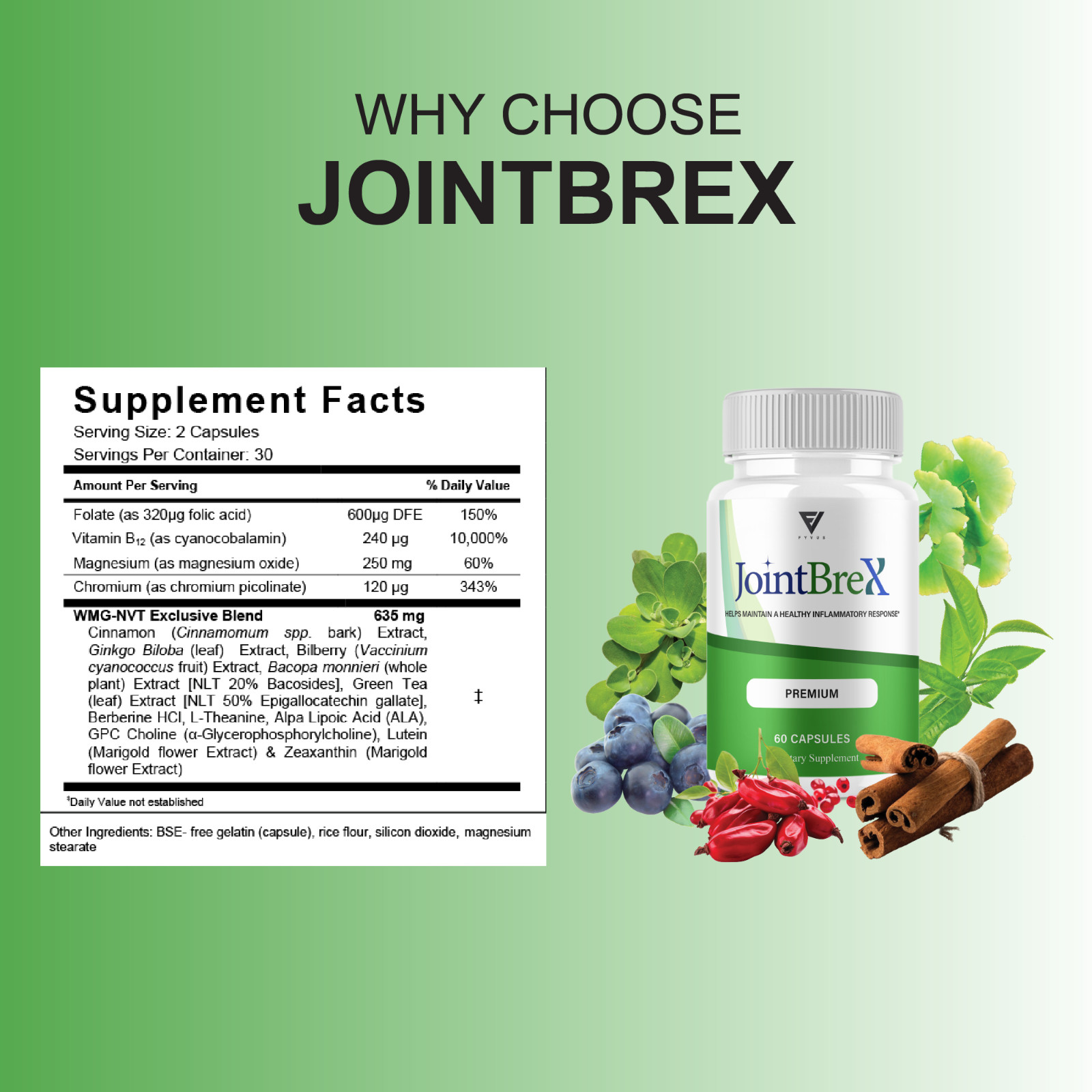 (5 Pack) Joint Brex Advanced Joint Support, JointBrex Supplement (300 Capsules)