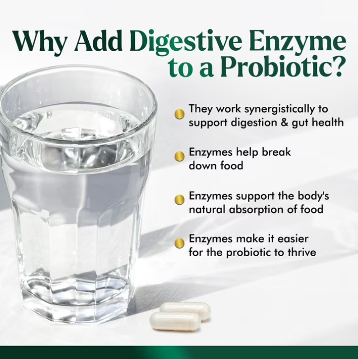 Probiotics for Women’s Digestive Health – 100 Billion CFU, 16 Strains Prebiotics