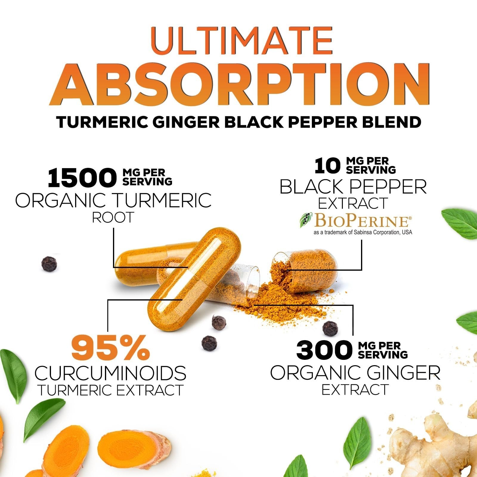 Turmeric Curcumin Supplement – 95% Curcuminoids – 120 Capsules