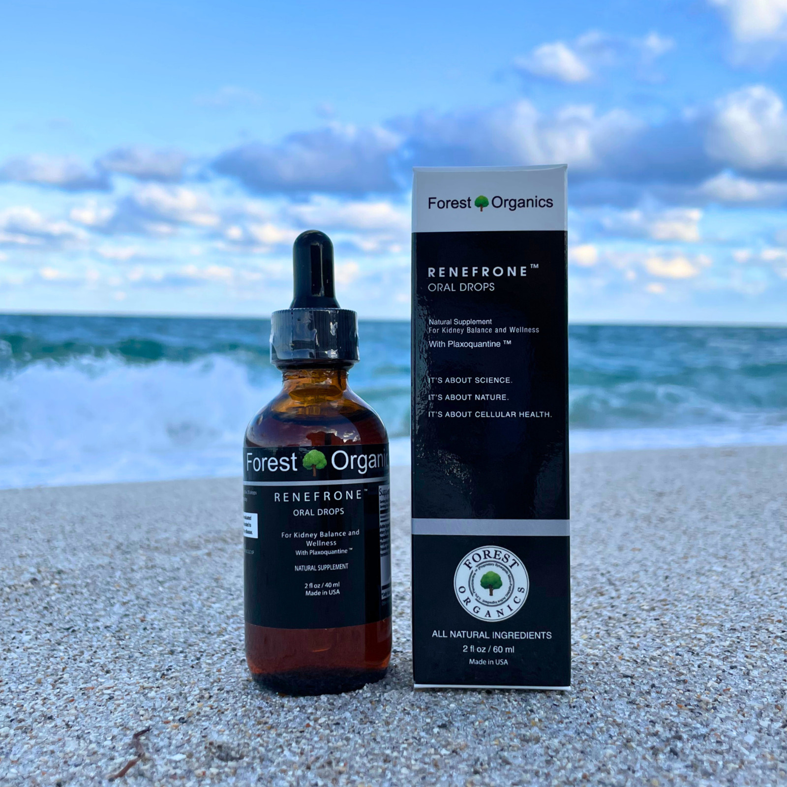 Kidney Support and Urinary Tract Support with 7 Plant Extracts Optimal Kidney