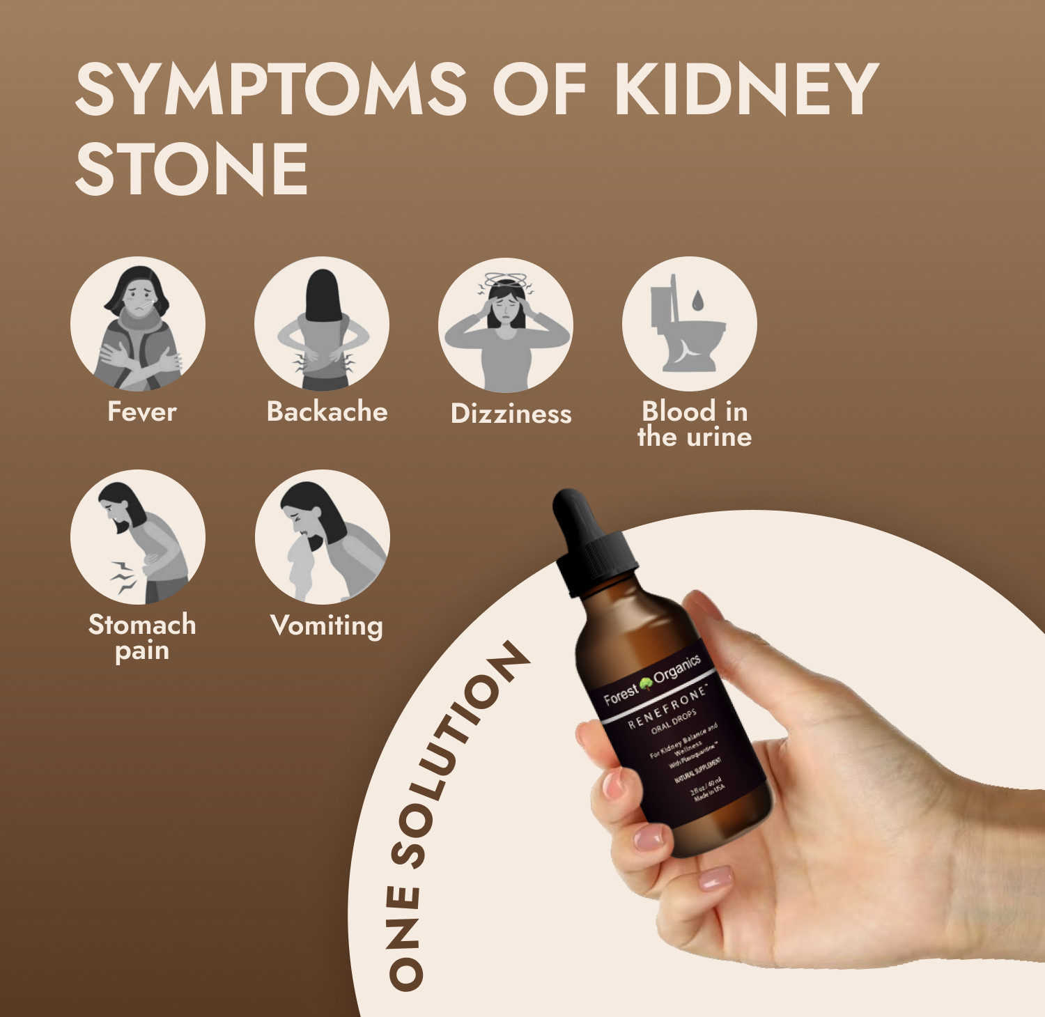 Kidney Support and Urinary Tract Support with 7 Plant Extracts Optimal Kidney