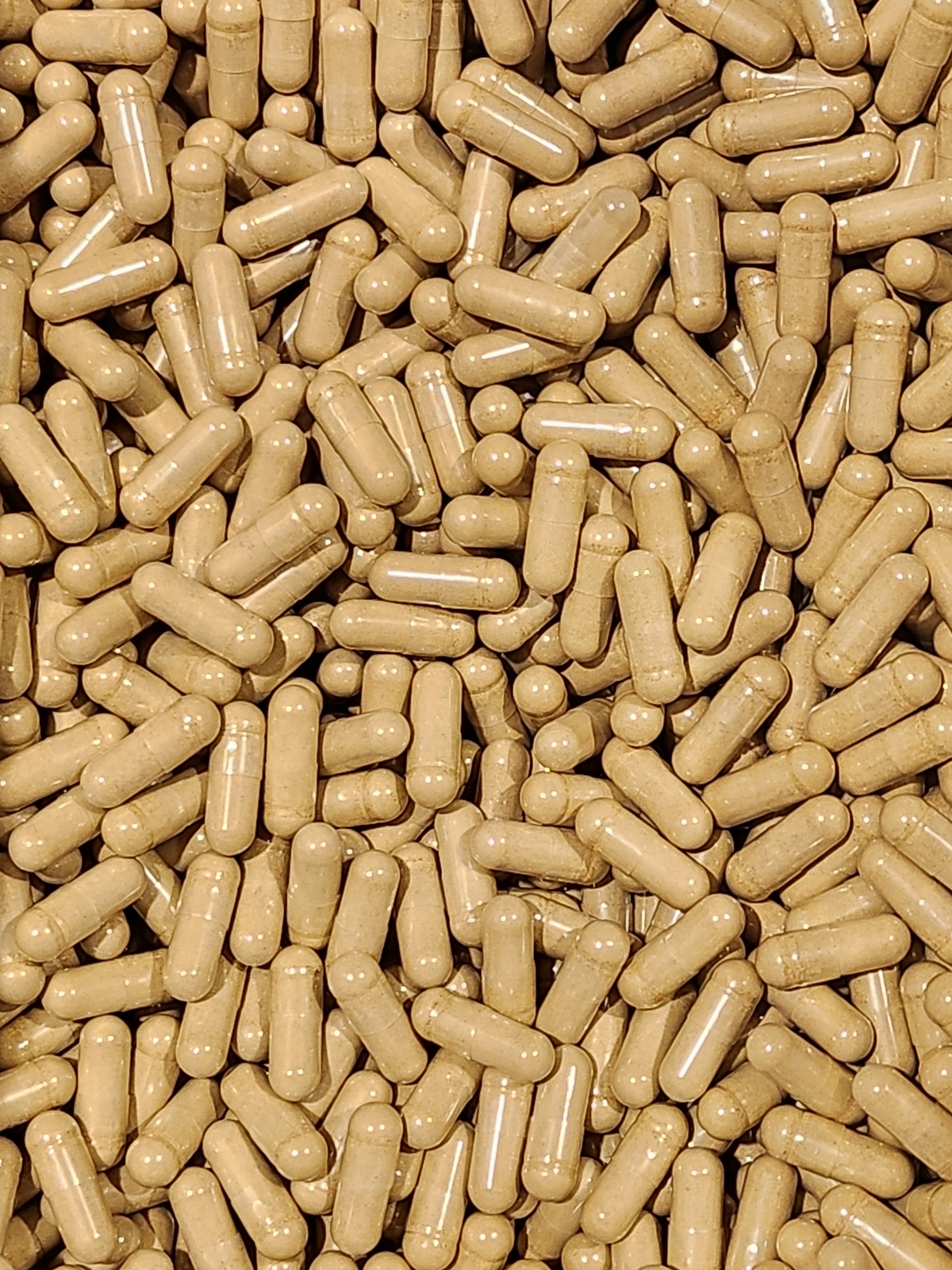 Burdock Capsules – Bulk
