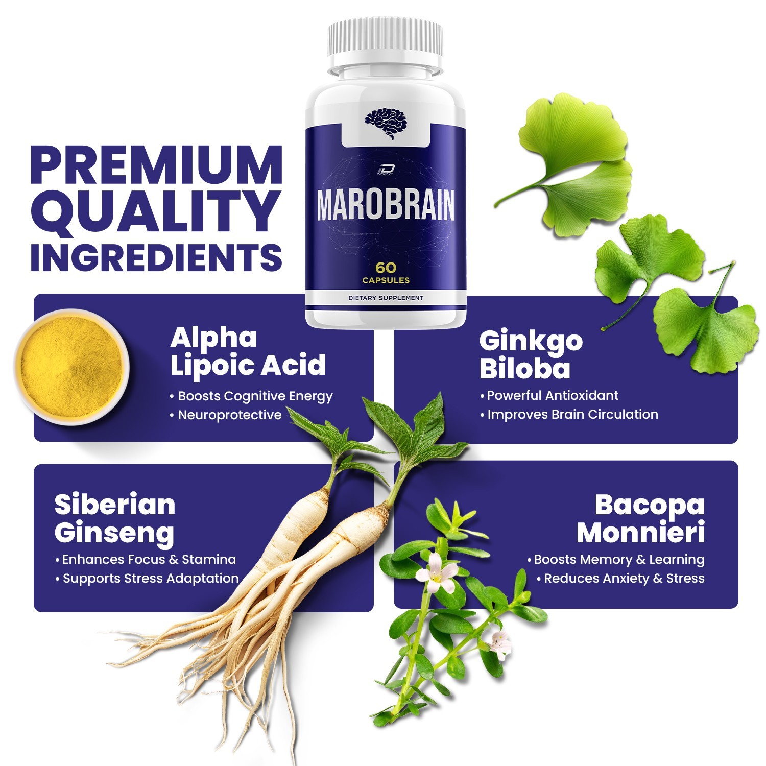 (2 Pack) Marobrain Supplement Capsules – Marobrain Natural Blend Memory Focus