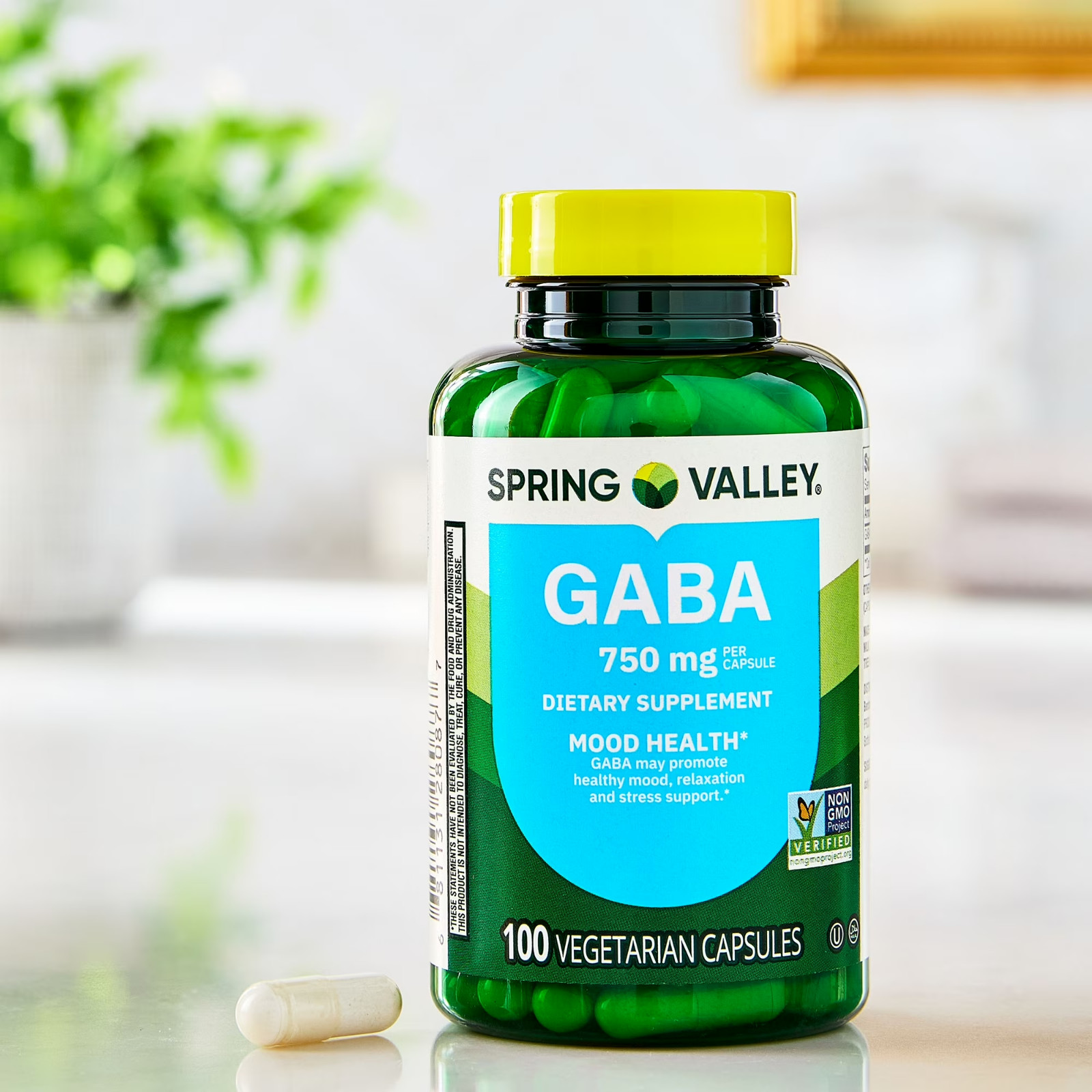 Spring Valley GABA 750 mg Mood Health Dietary Supplement 100 Capsules