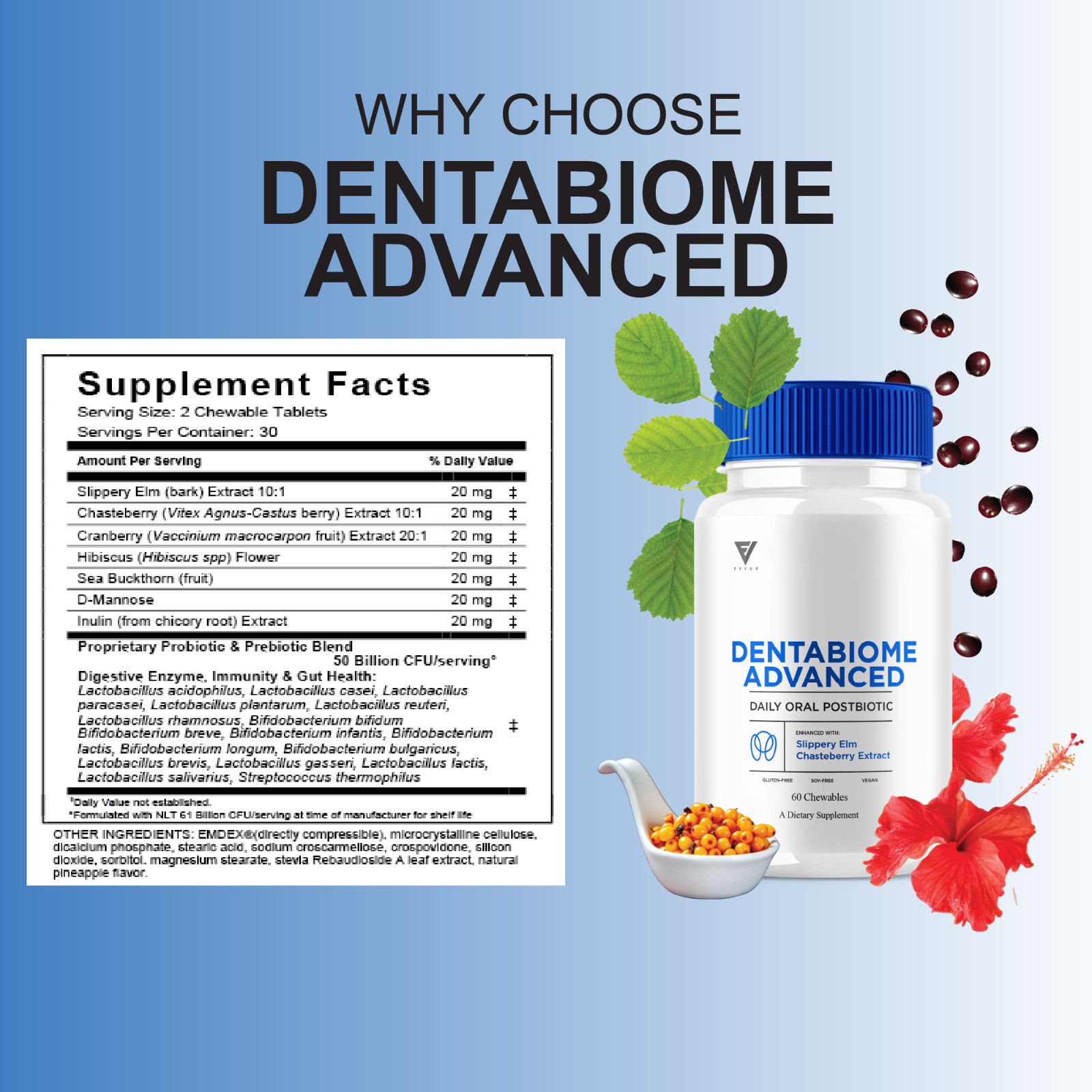 (5 Pack) Dentabiome Advanced, Denta Biome Daily Support Formula (300 Chewables)