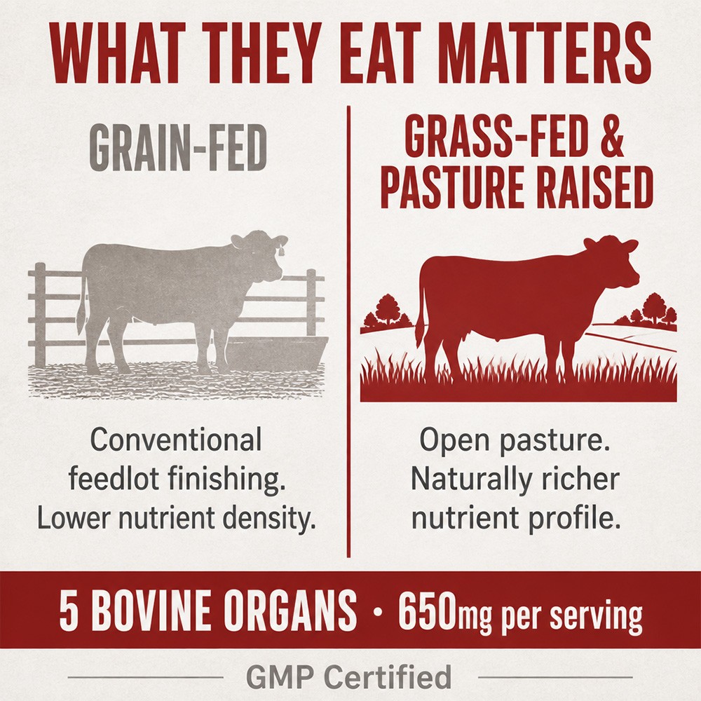 Beef Organ Complex, 5-in-1 Supports Energy,Vitality & Grain Free 30~120 Capsules