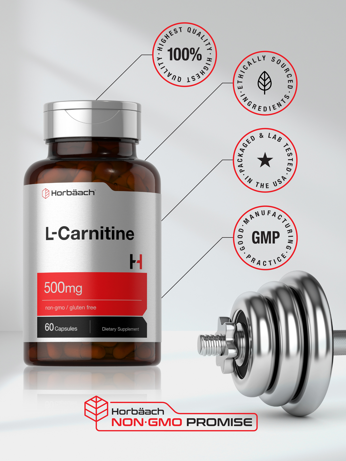 L Carnitine 500 mg | 60 Capsules | Non-GMO, Gluten Free | by Horbaach