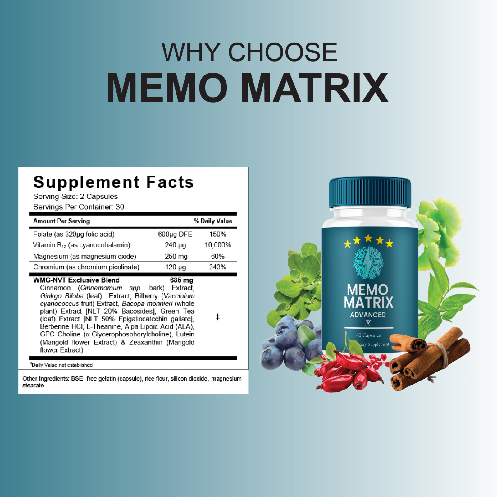 (5 Pack) Memo Matrix Advanced Capsules, Memo Metrix Brain Support (300 Capsules)