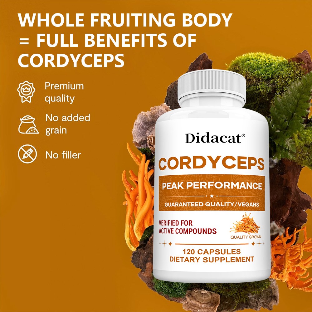 Contains Cordyceps 30/60/120 capsules – supports lung and muscle health