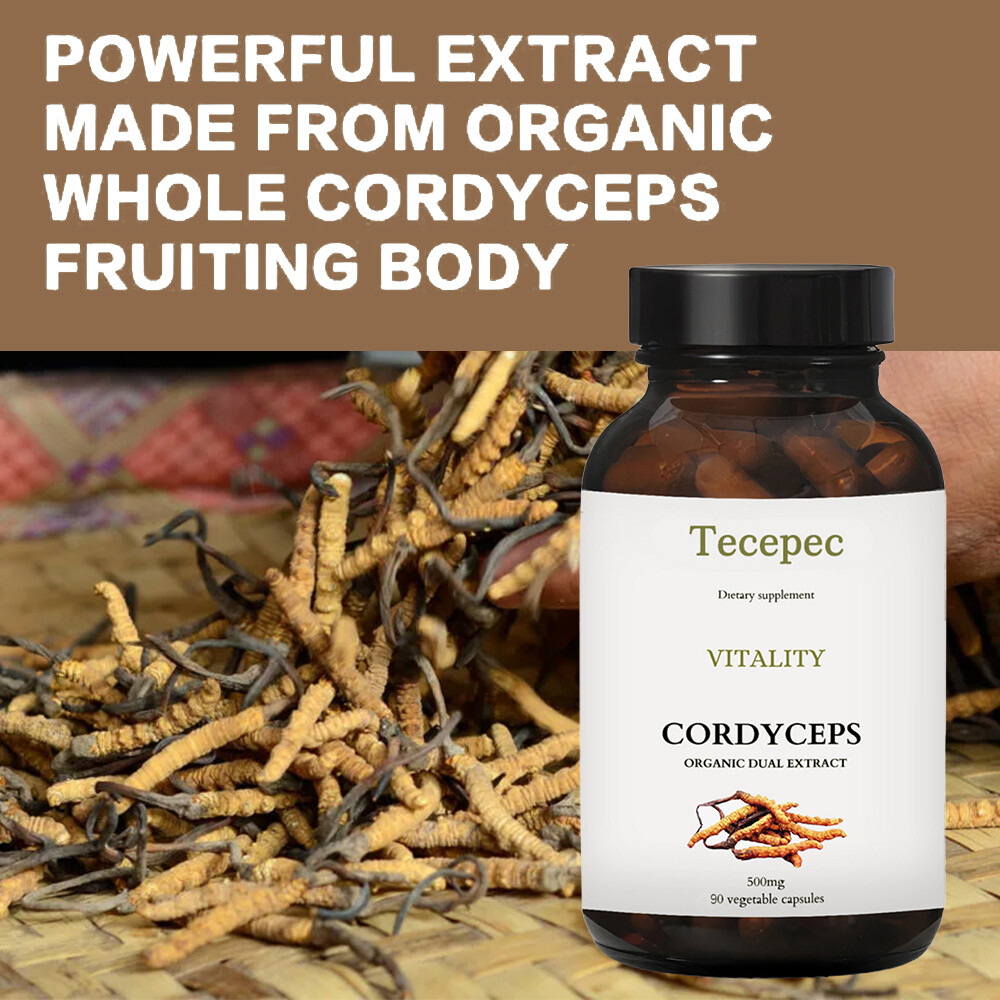 Cordyceps Mushroom Extract 1000mg Capsules – Immune Support