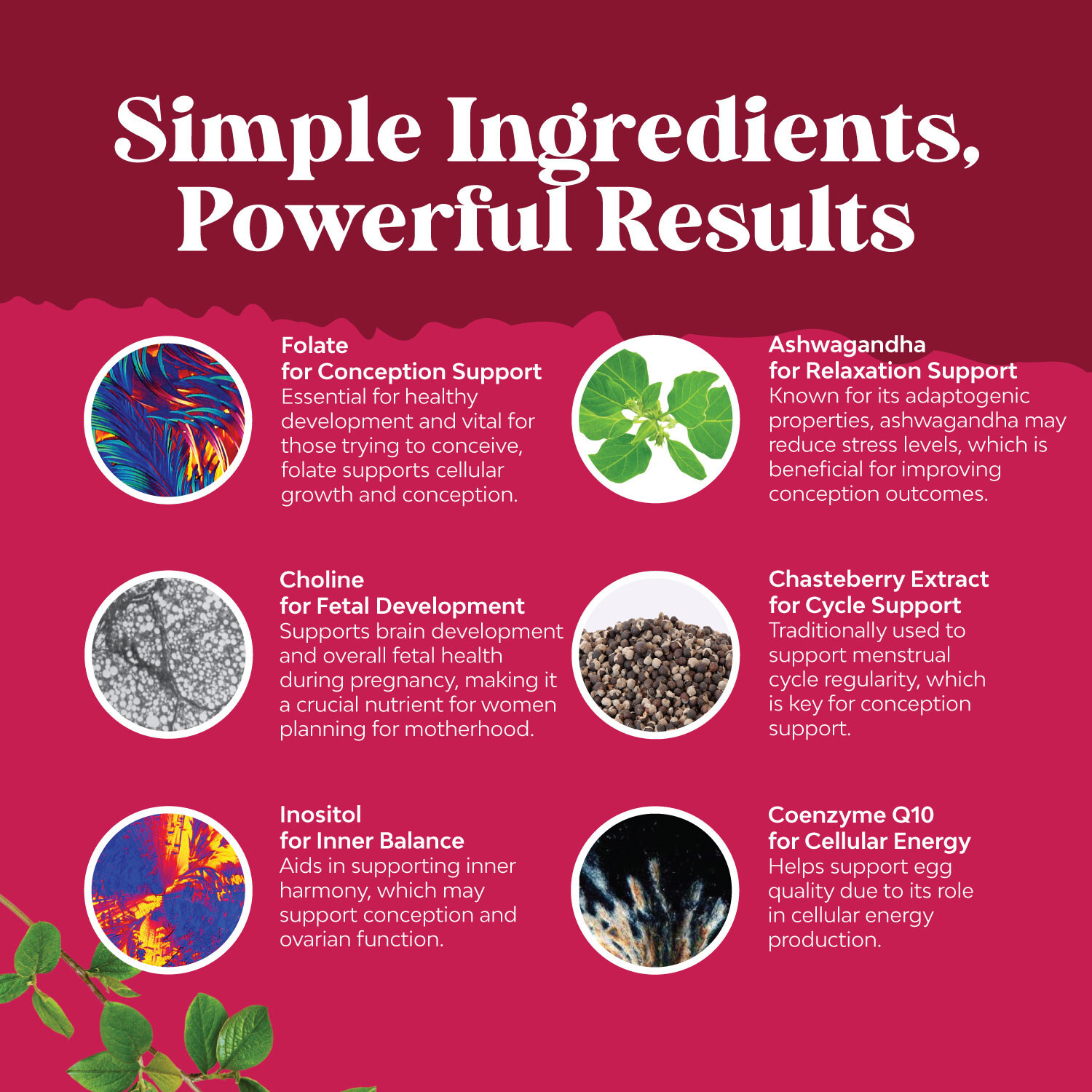Fertility Gummies for Women Trying to Conceive Vegan Non-GMO & Gluten Free 60ct