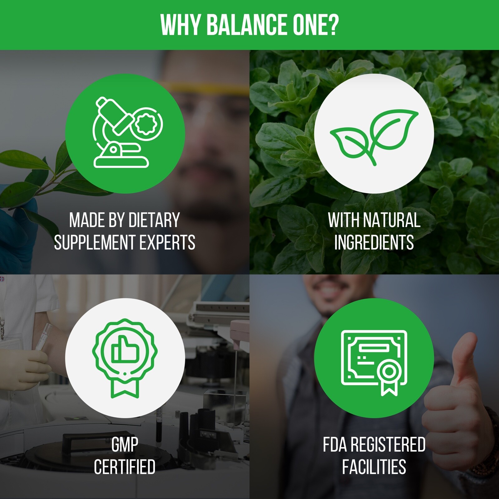 Liver One by Balance ONE – Milk Thistle, Dandelion, Artichoke – 30 Day Supply