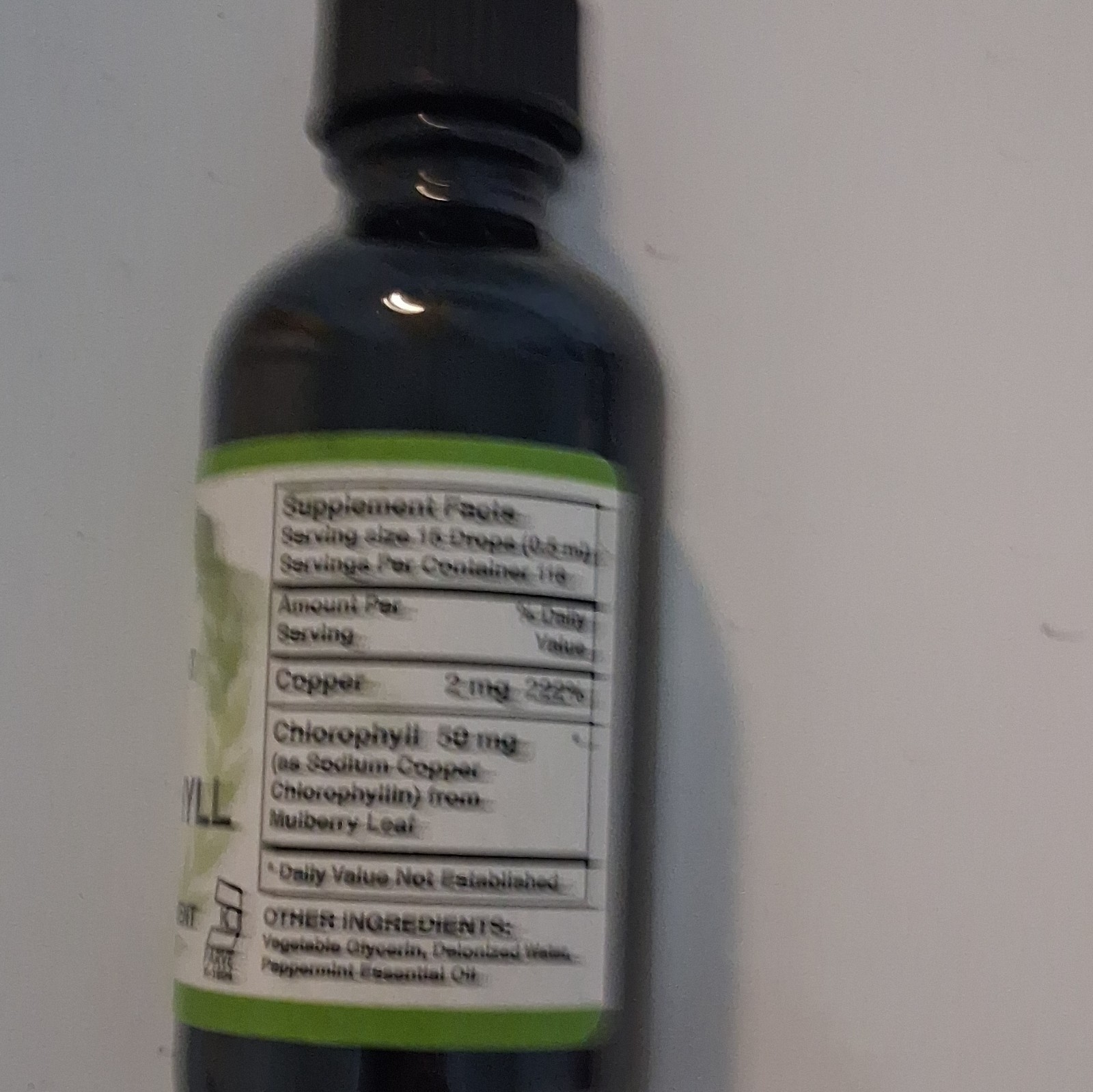 Benevolent Nourishment Liquid Chlorophyll 2 fl oz Peppermint GF AF