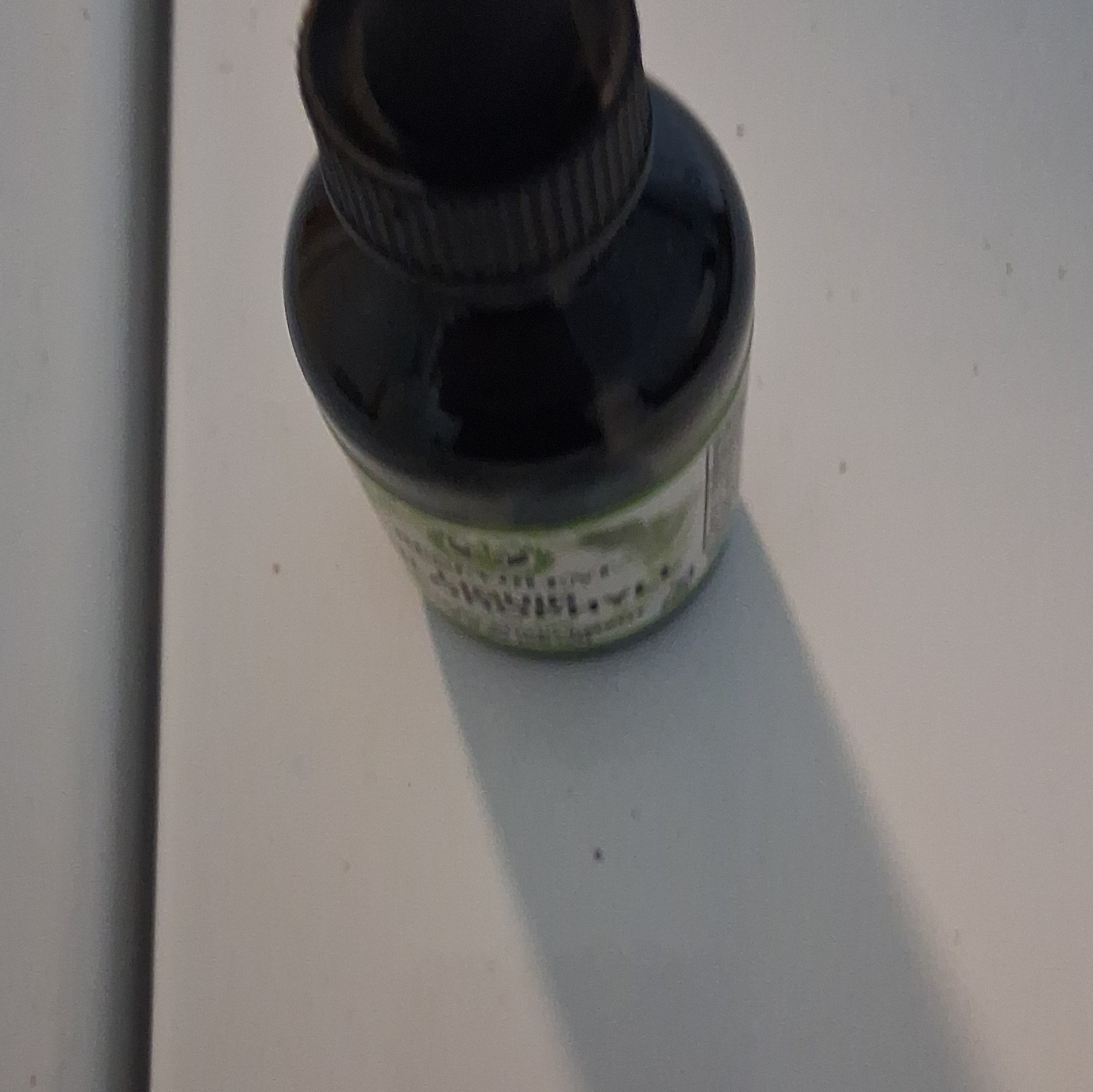 Benevolent Nourishment Liquid Chlorophyll 2 fl oz Peppermint GF AF