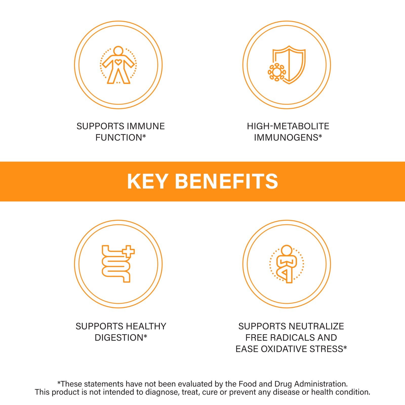 Sandhu’s Zinc Quercetin with EpiCor® – Gluten-free Zinc Supplement