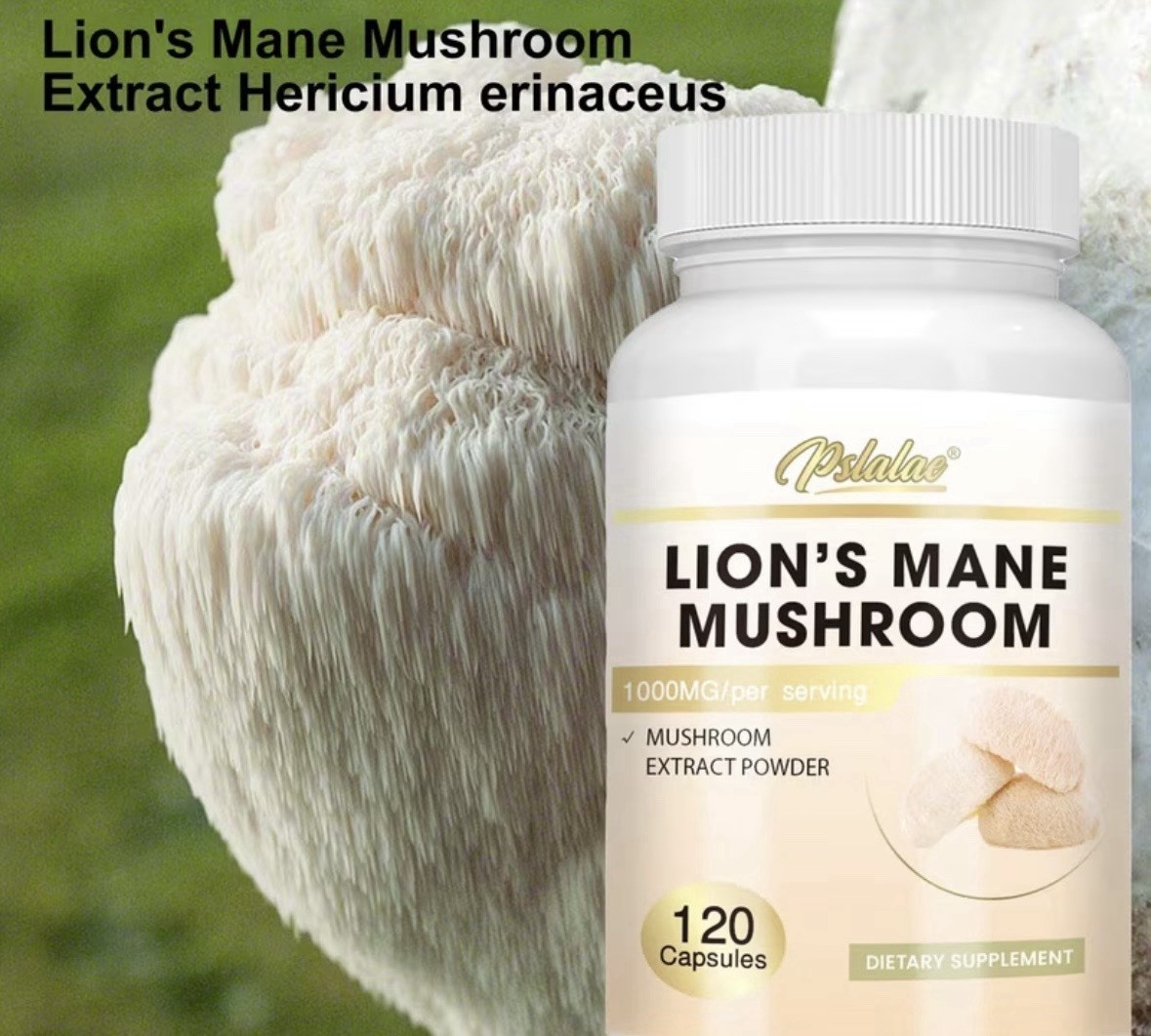 Pslalae Lion’s Mane Mushroom Extract 1000mg 120 Capsules Mood Digestion Support