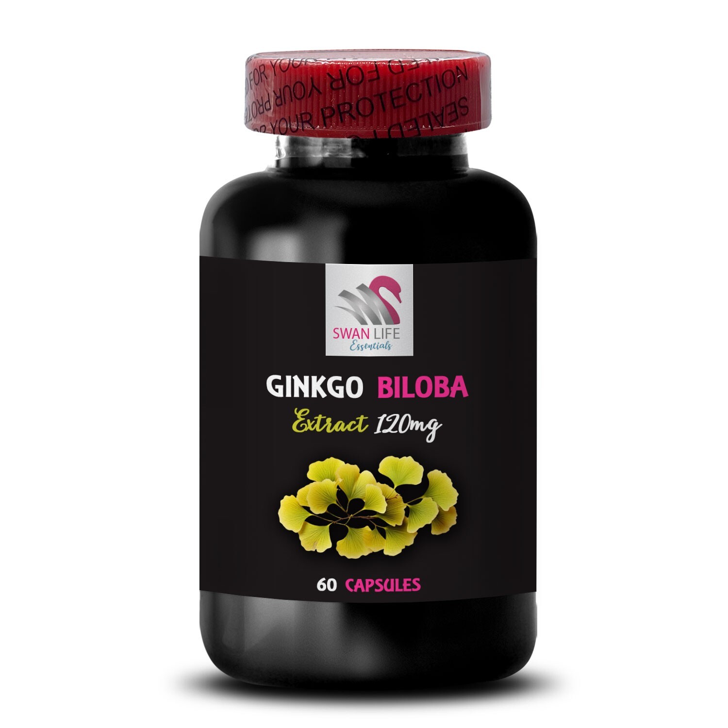 Ginkgo extract – GINKGO BILOBA EXTRACT – Natural synergy 1 Bottle 60 Capsules