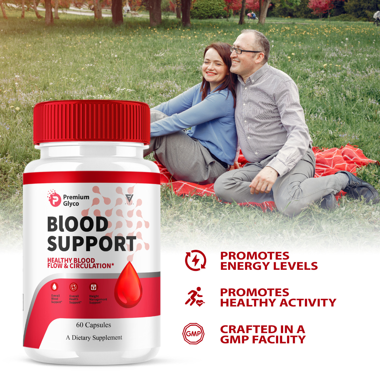 (2 Pack) Premium Glyco Blood Support Supplement, PremiumGlyco (120 Capsules)