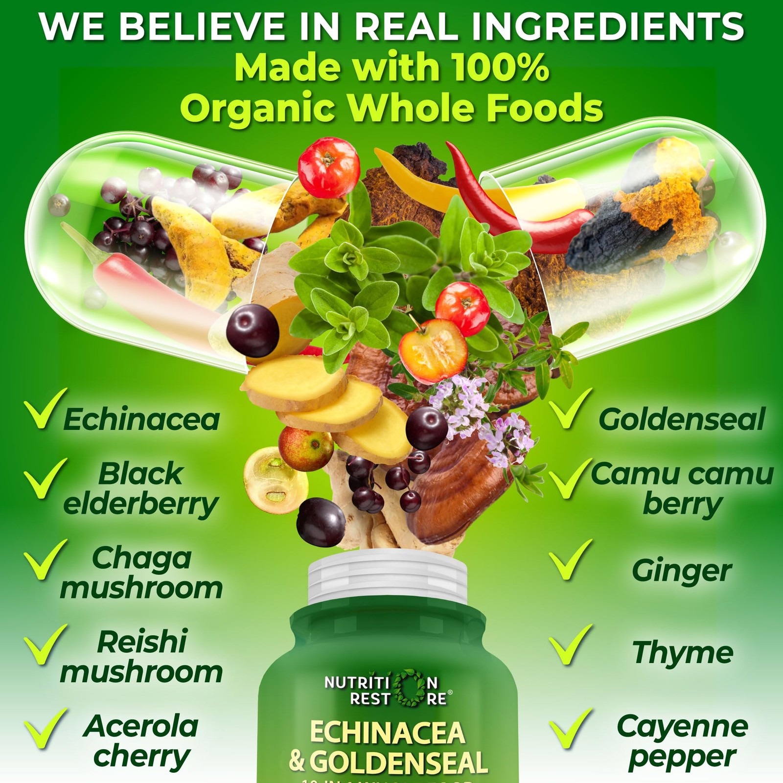 Echinacea Goldenseal Capsules – 10 in 1 Immune Support 120 Count (Pack of 1)