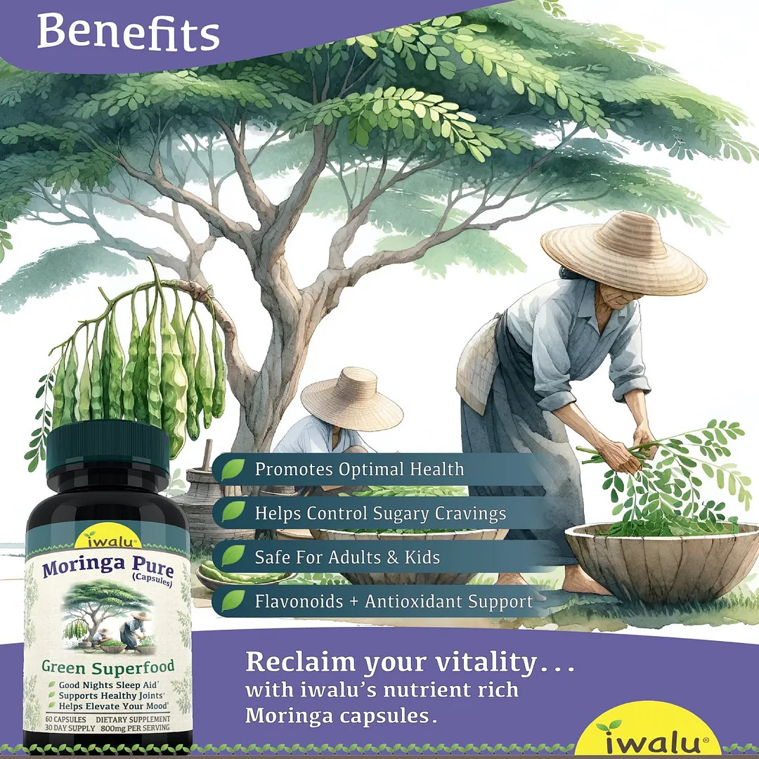 Oleifera Leaf | Best Supplement Capsule Pill Men Women FREE SHIP