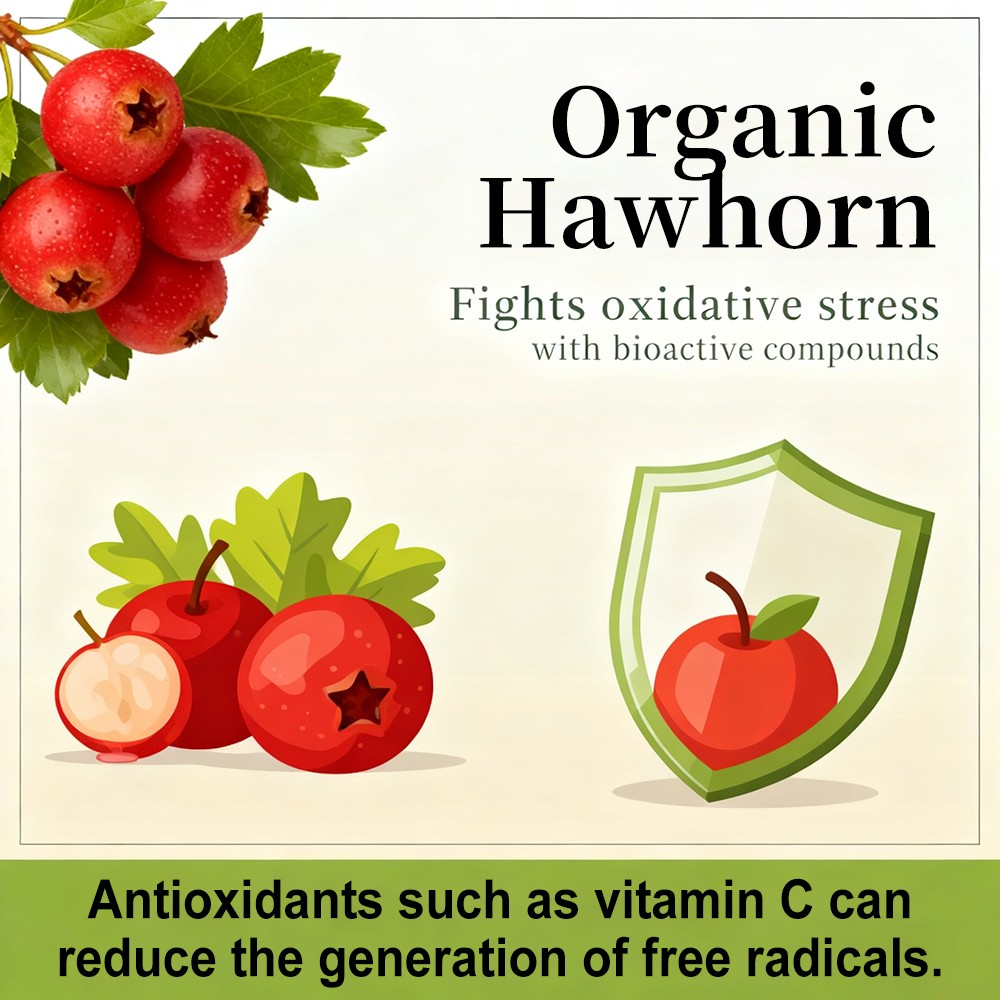 Organic Hawthorn Berry Capsules – Support Heart & Circulatory Health 30~120 Caps