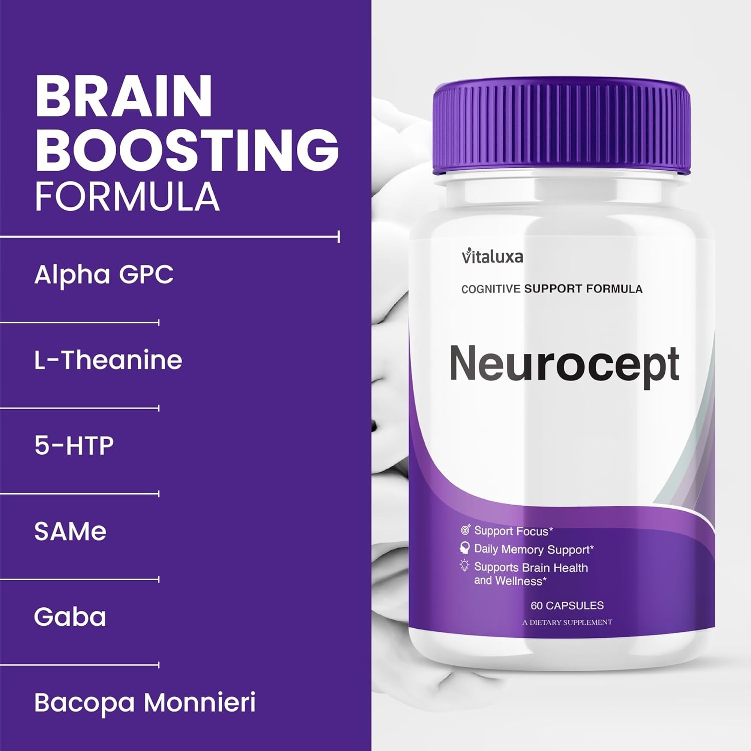 Neurocept Nootropic All Natural Formula Brain Supplement (60 Capsules)
