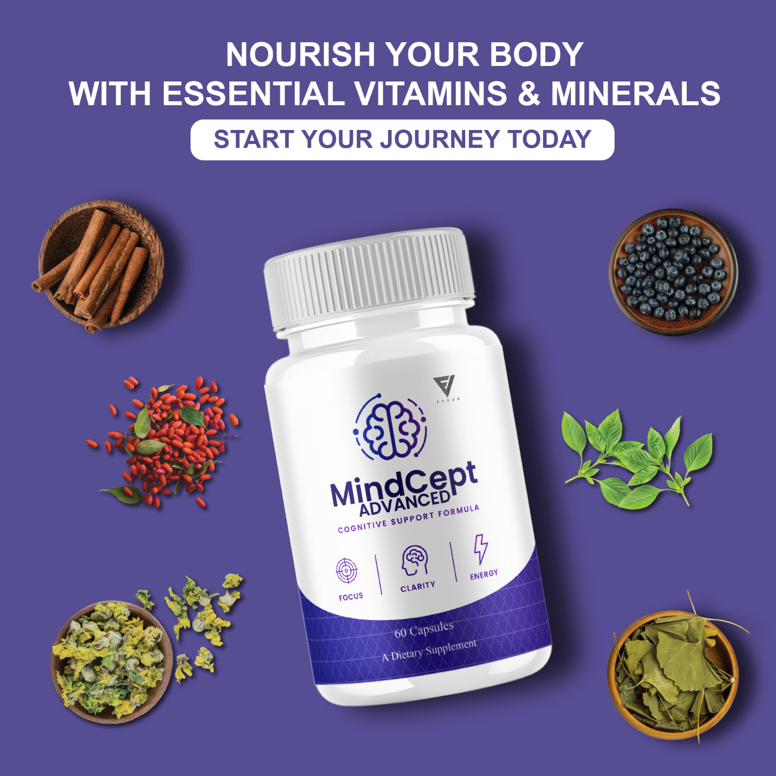 Mindcept Advanced Brain Formula, MindCept Supplement (60 Capsules)
