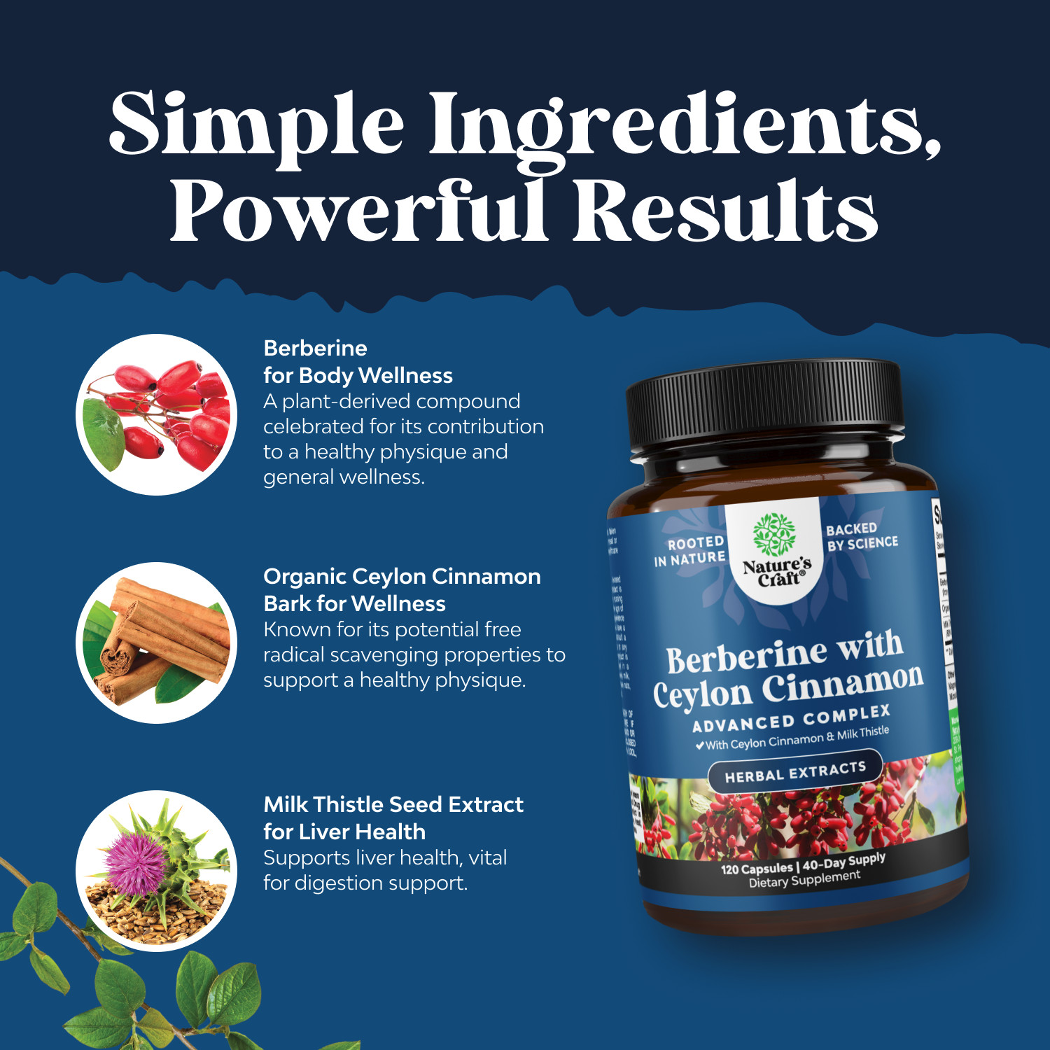 Balancing Berberine Plus 1200mg Per Serving Complex Antioxidant w/ Ceylon 120ct