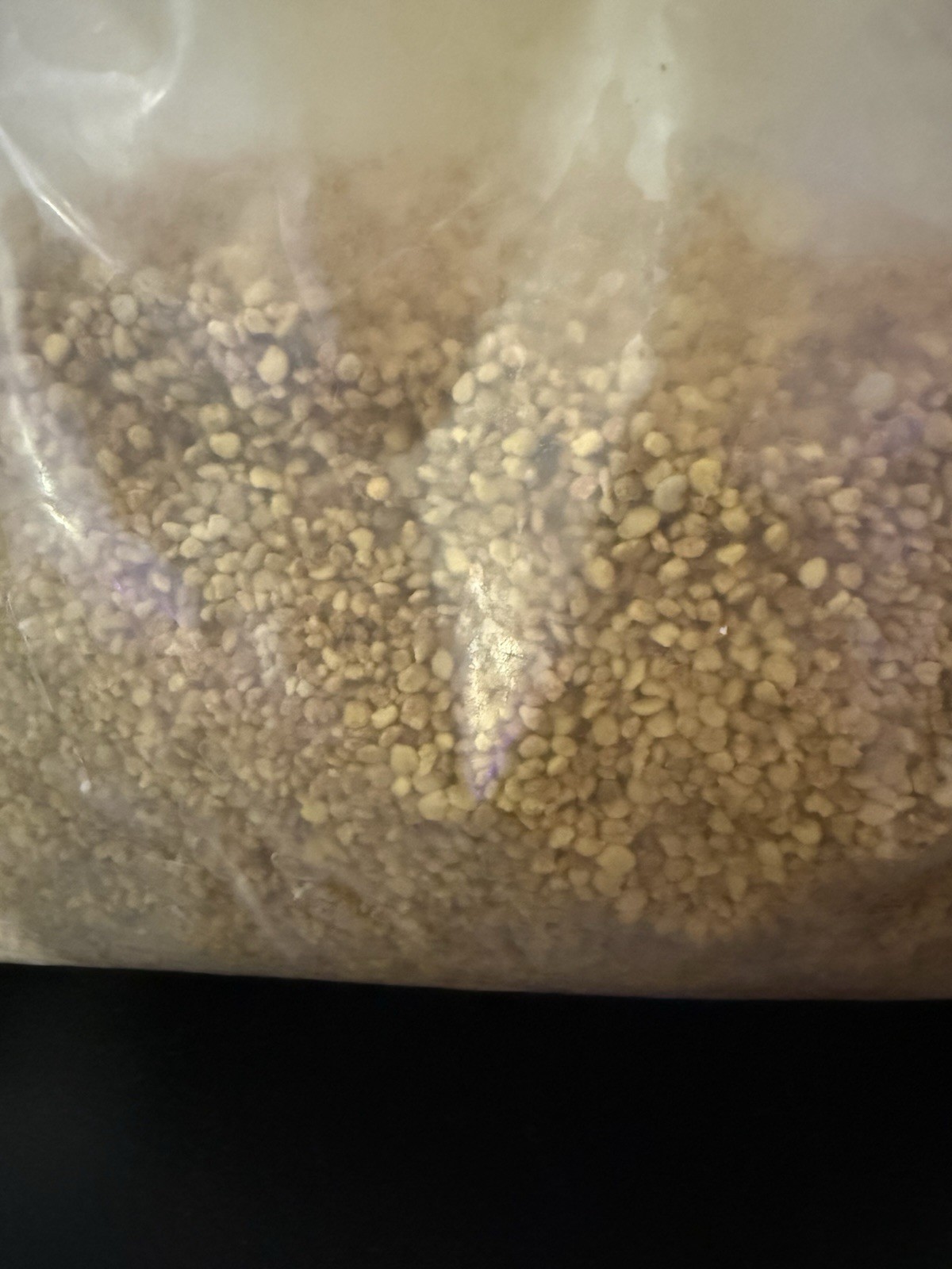 RAW BEE POLLEN 5.82 lb