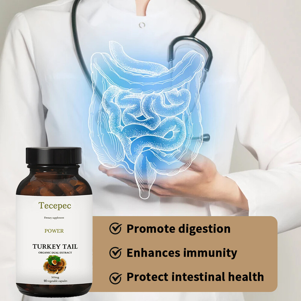 Turkey Tail Mushroom Capsules 500mg, Organic Dual Extract, Digestive Health