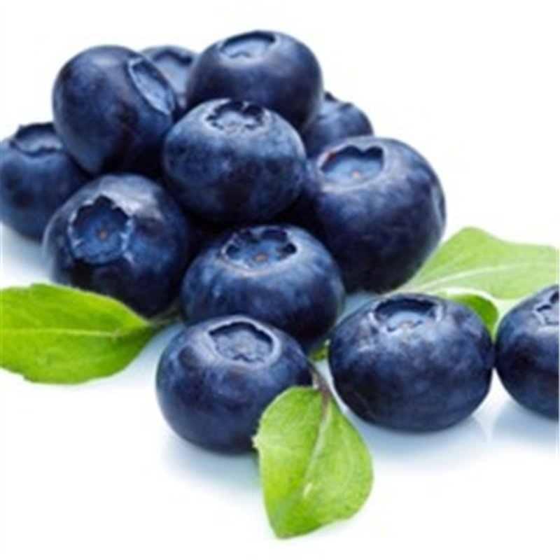 Energy and focus – ACAI BERRY EXTRACT – AFRICAN MANGO COMBO – african mango diet
