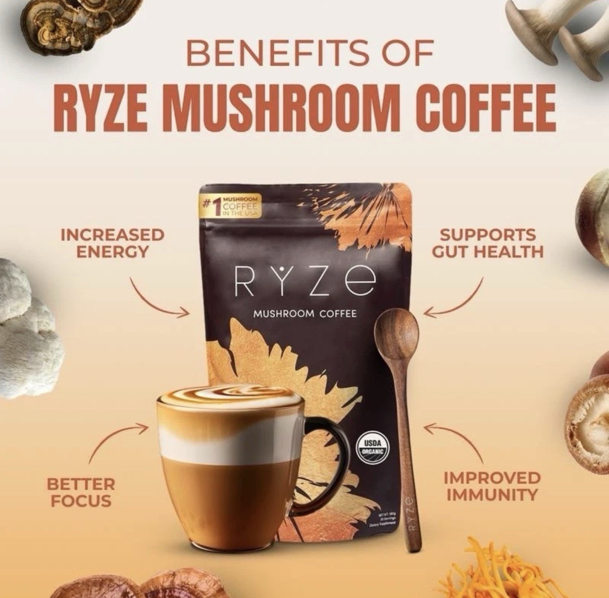 RYZE Mushroom Coffee USDA Organic with 6 AdaptogeniMushrooms and MCT Oil, USA Gr