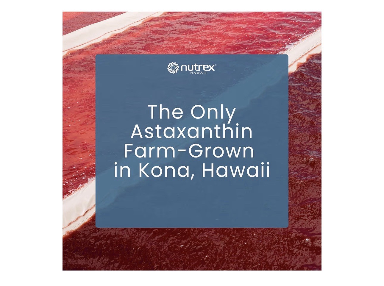 BioAstin Hawaiian Astaxanthin Vegan Non-GMO Gluten-Free 12mg 75 Softgels