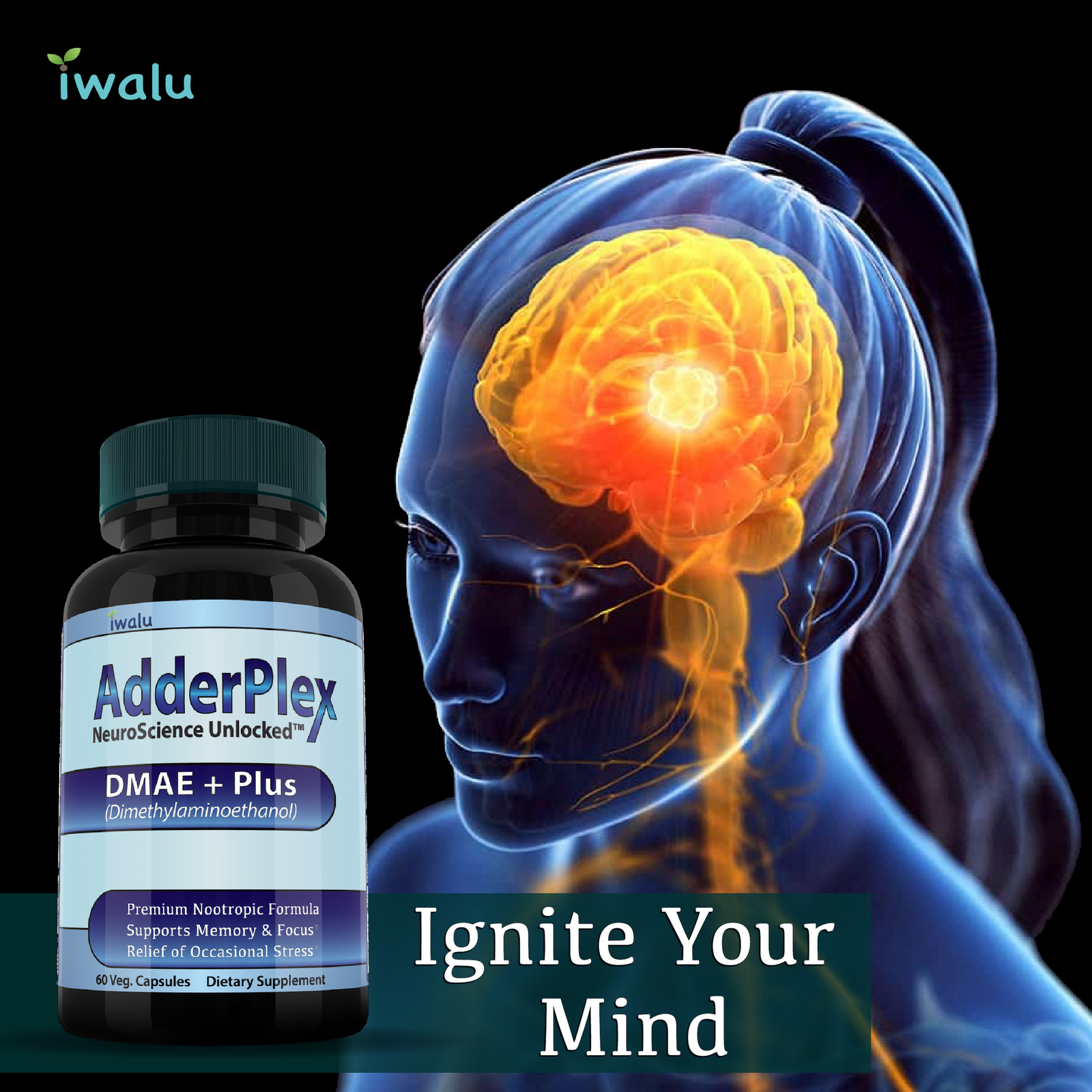 3X ADDERPLEX Brain Supplements Focus, Memory, Energy USA MADE Fast Free Ship USA